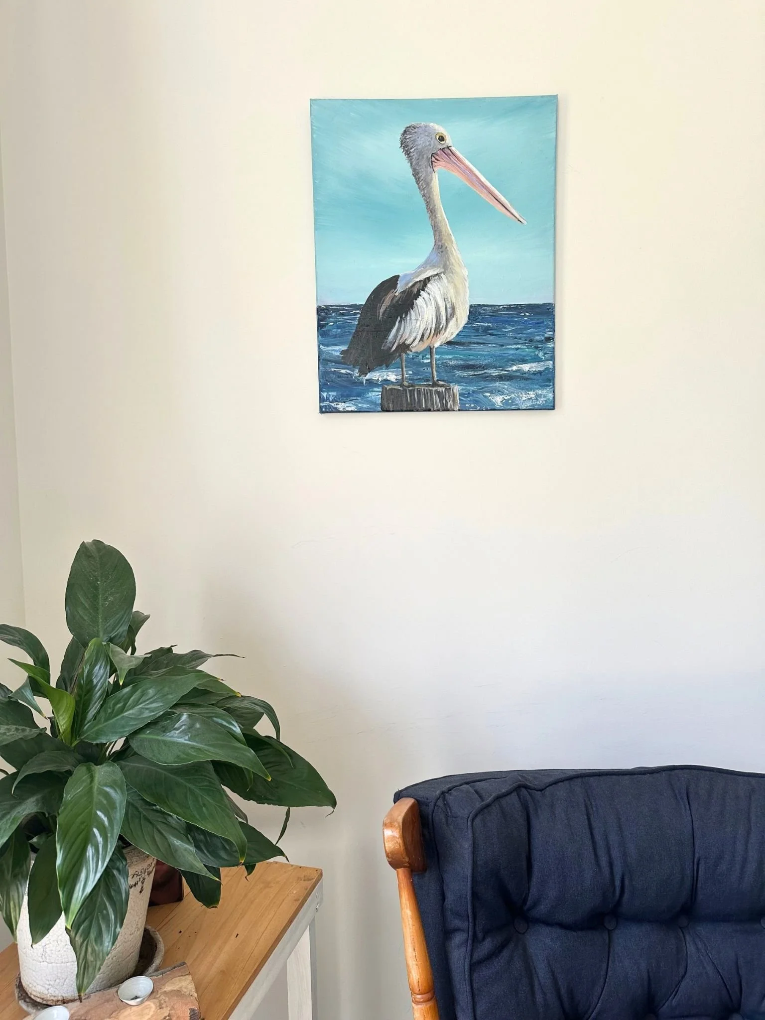 pelican 1.jpg
