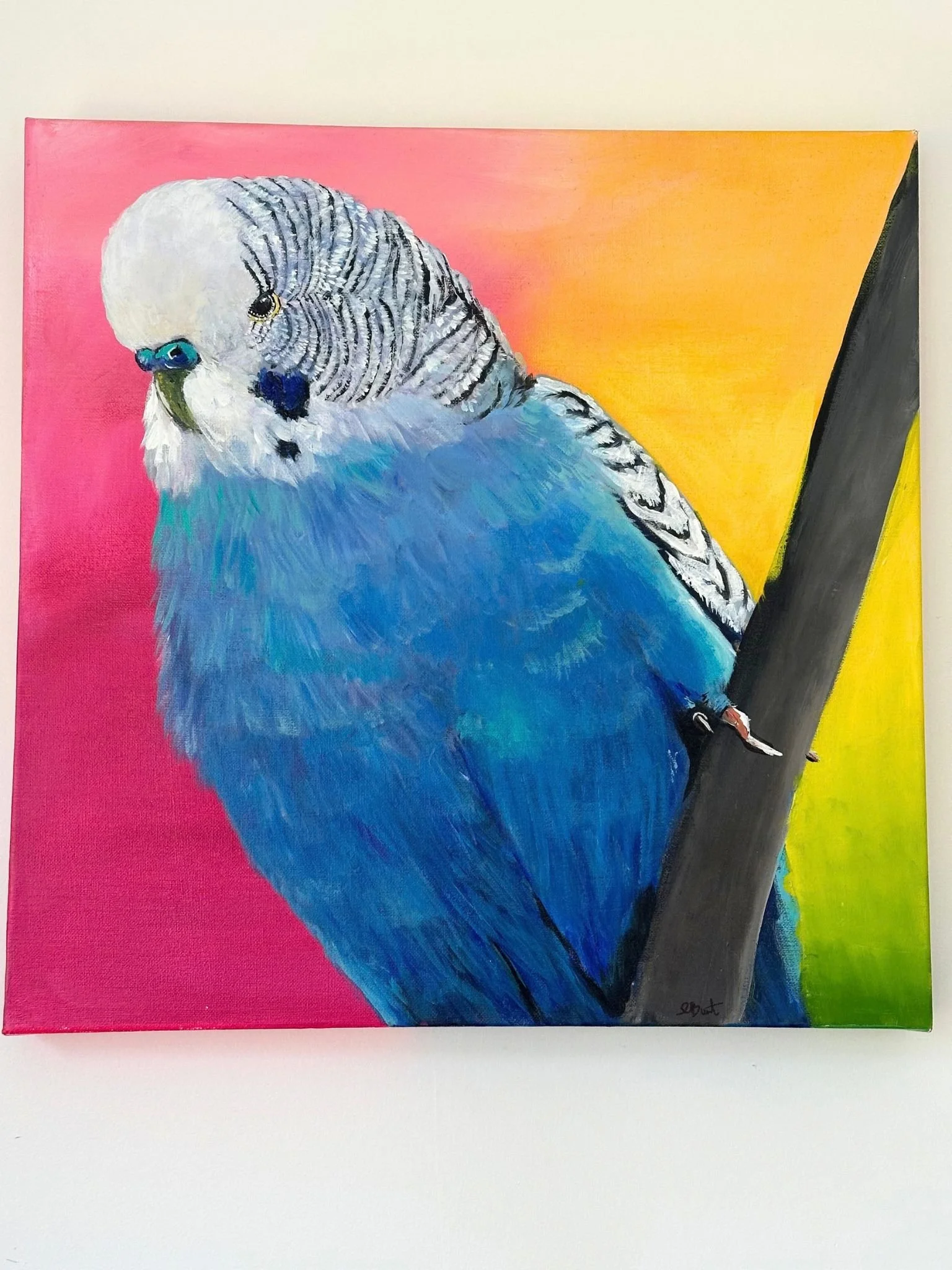 bright budgie 1.jpg