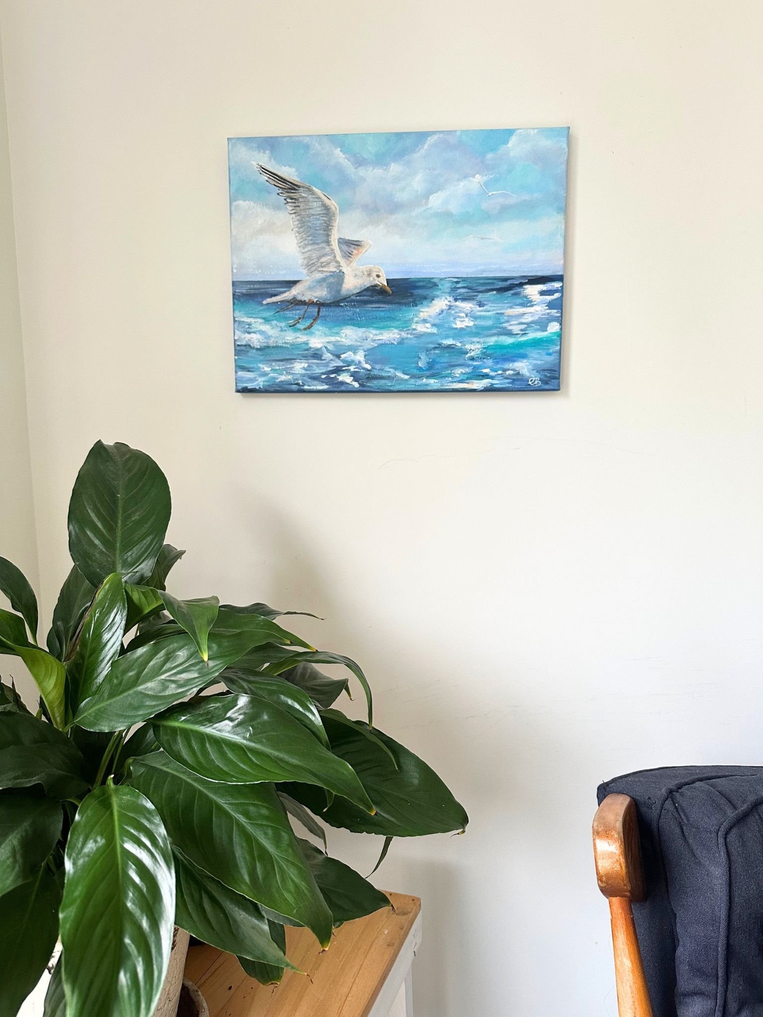 seagull 1.jpg
