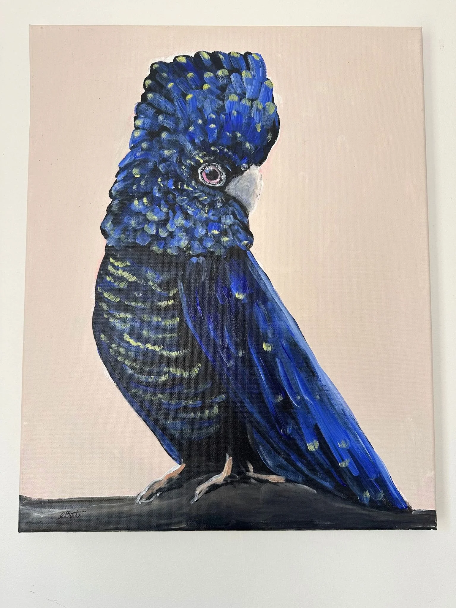 Blue in the Black