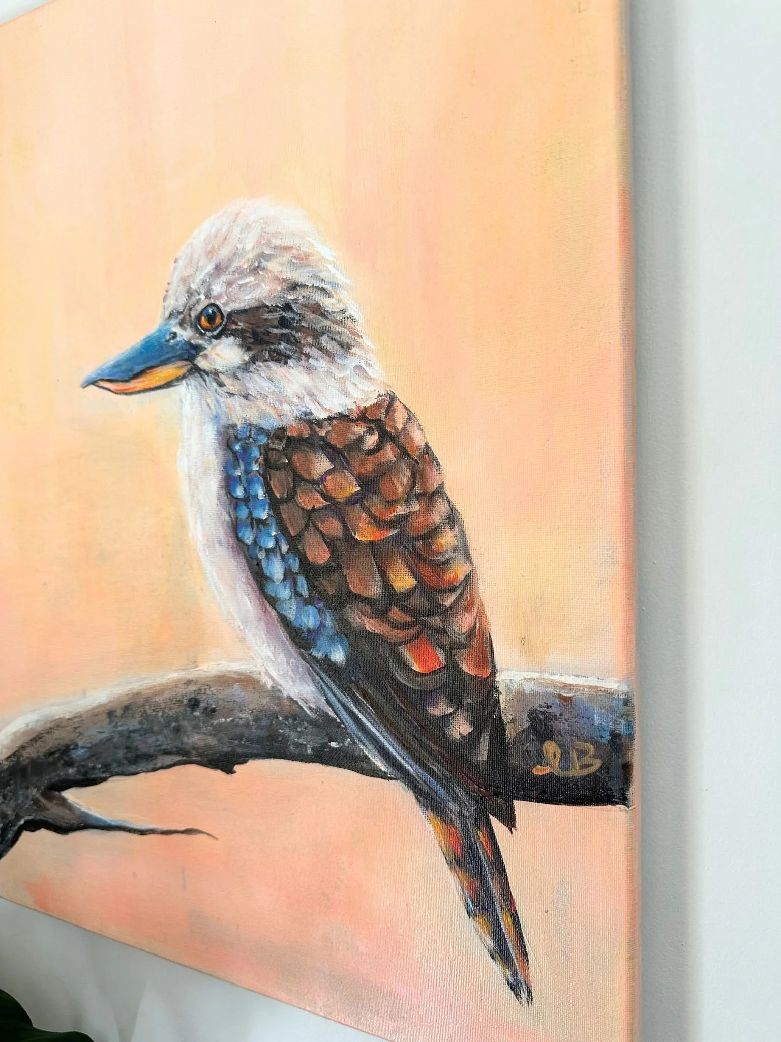 kooka 1.jpg
