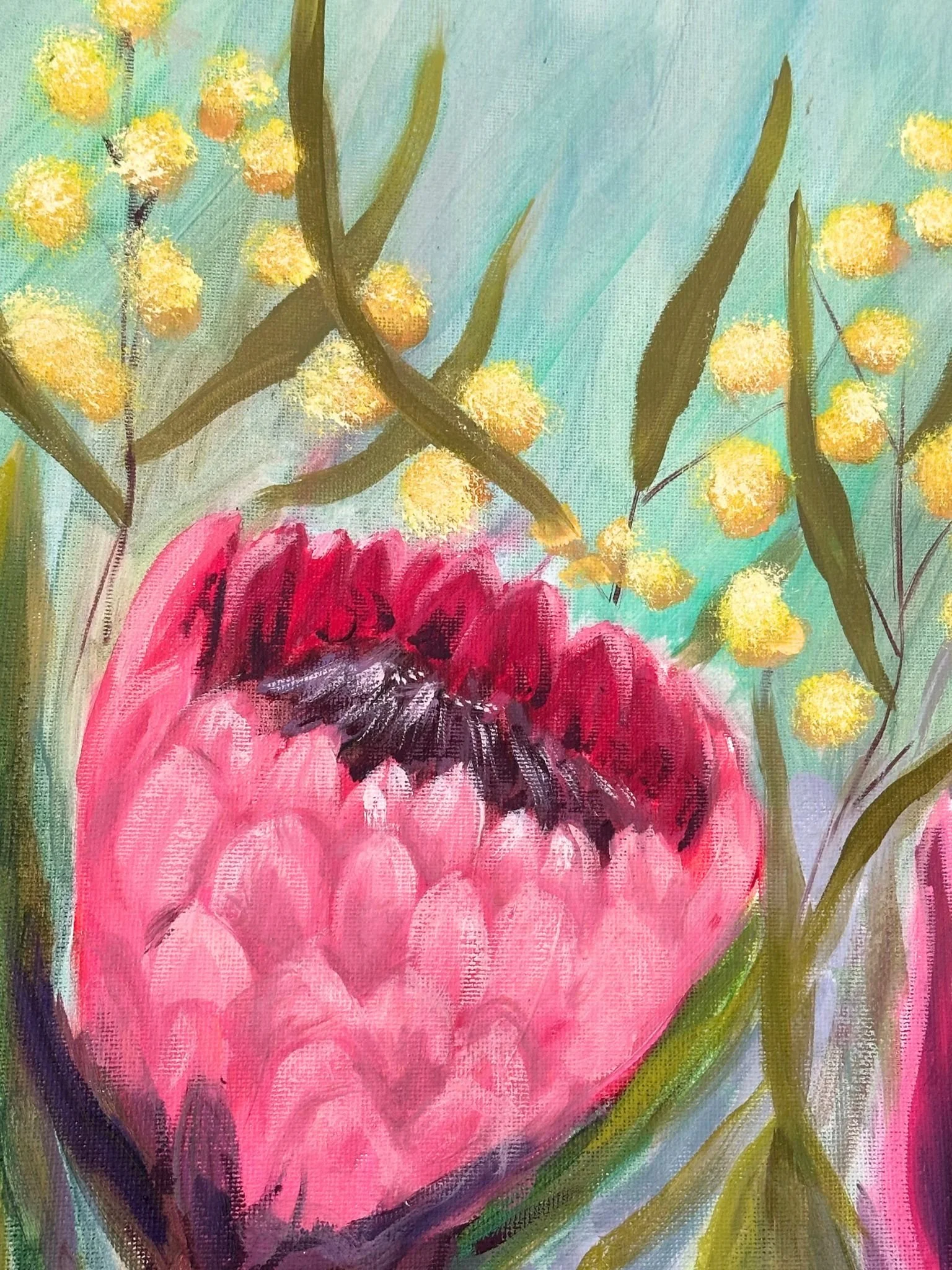 proteas 4.jpg