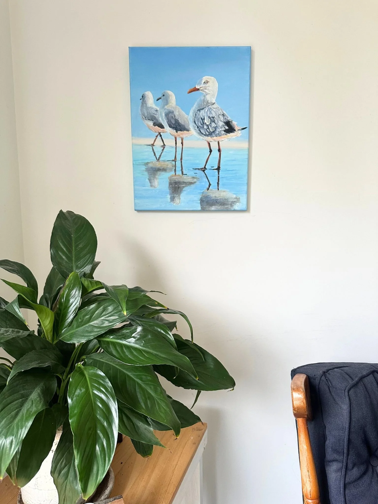 gull 1.jpg