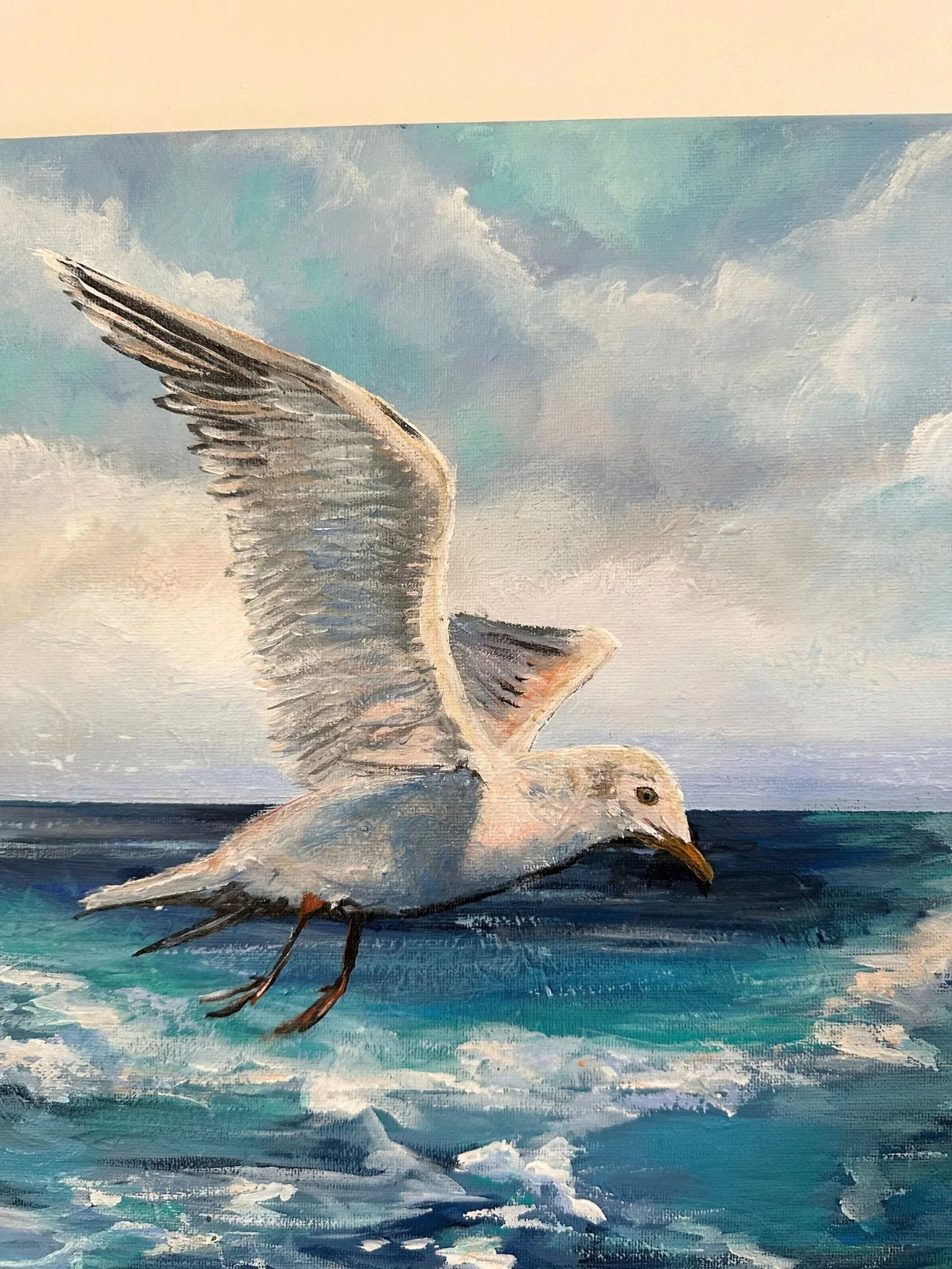 seagull 3.jpg