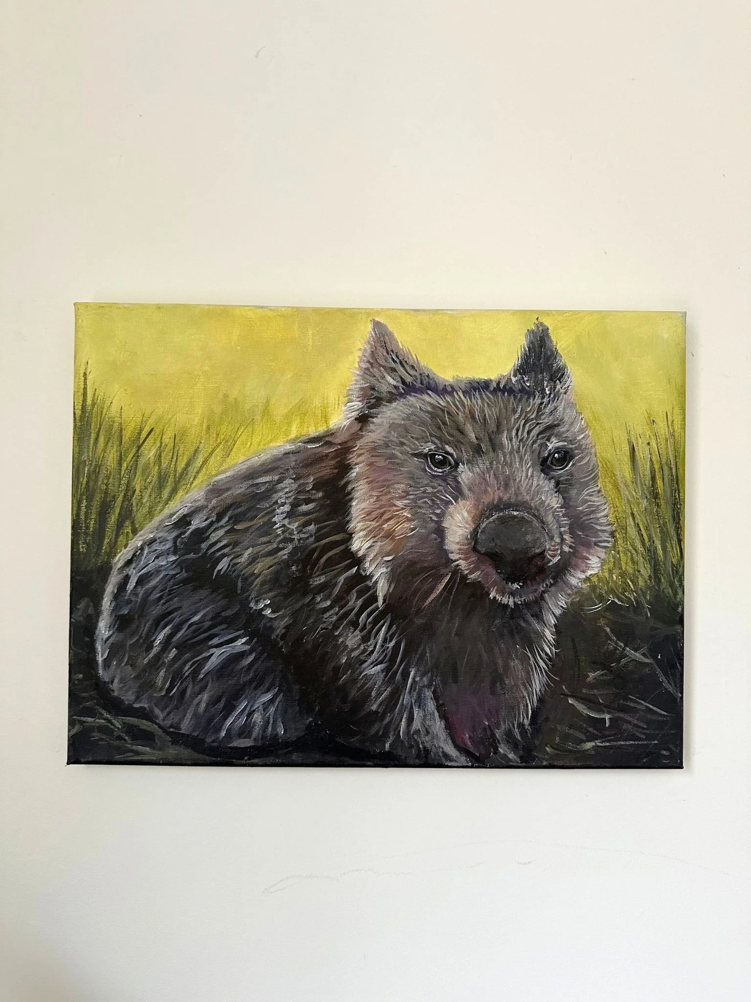 wombat 3.jpg