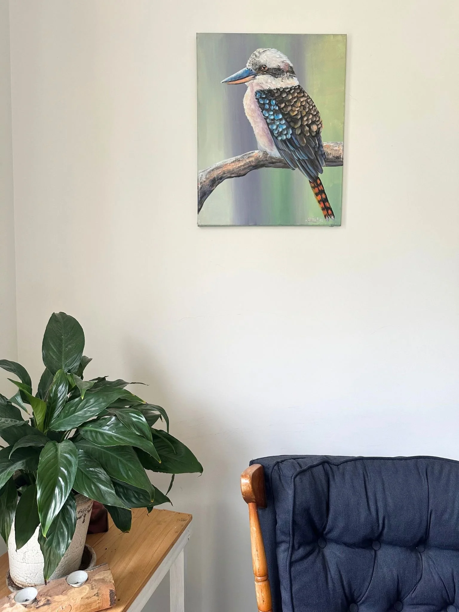 kookaburra a 1.jpg