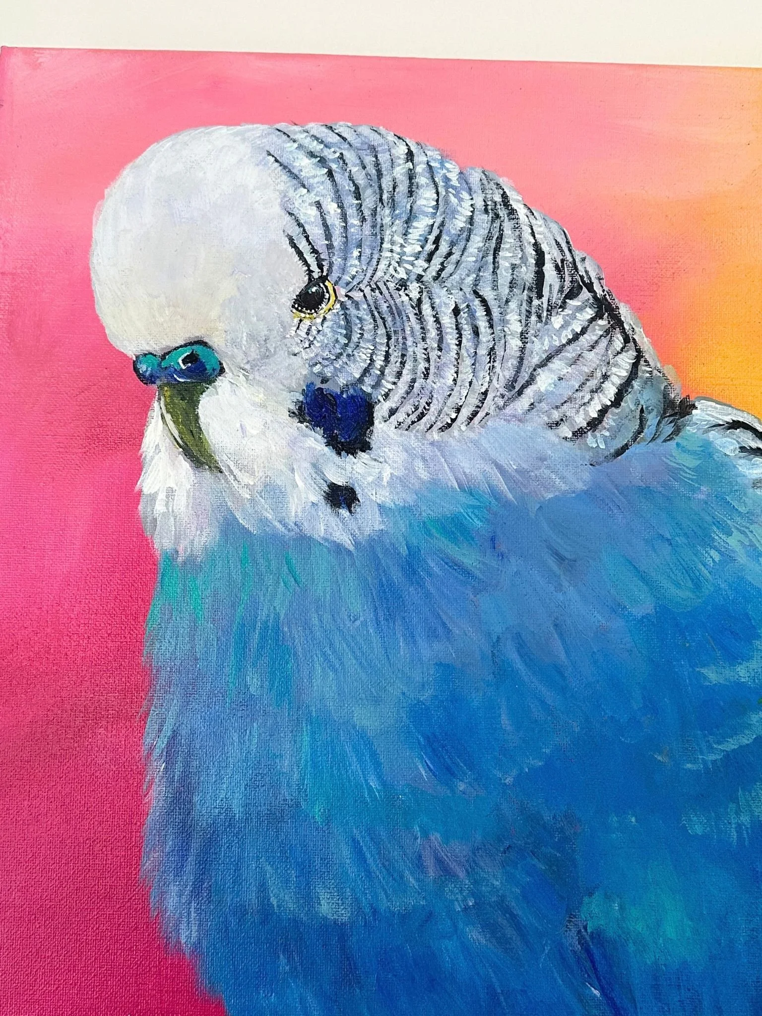 bright budgie 4.jpg