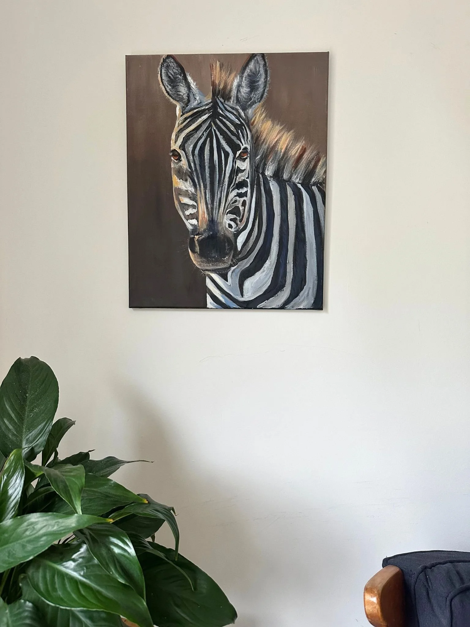 zebra1.jpg