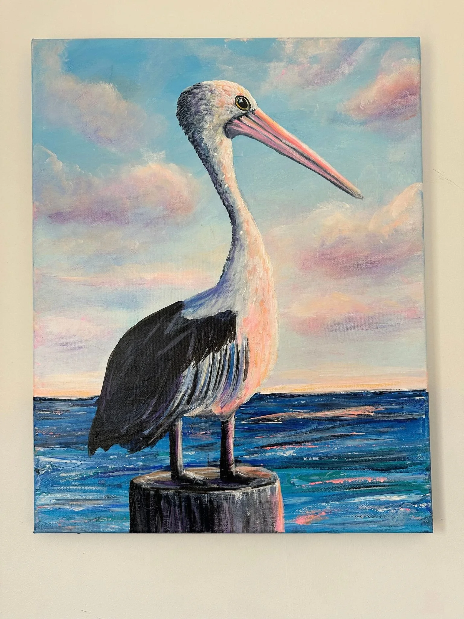 pelican a 2.jpg