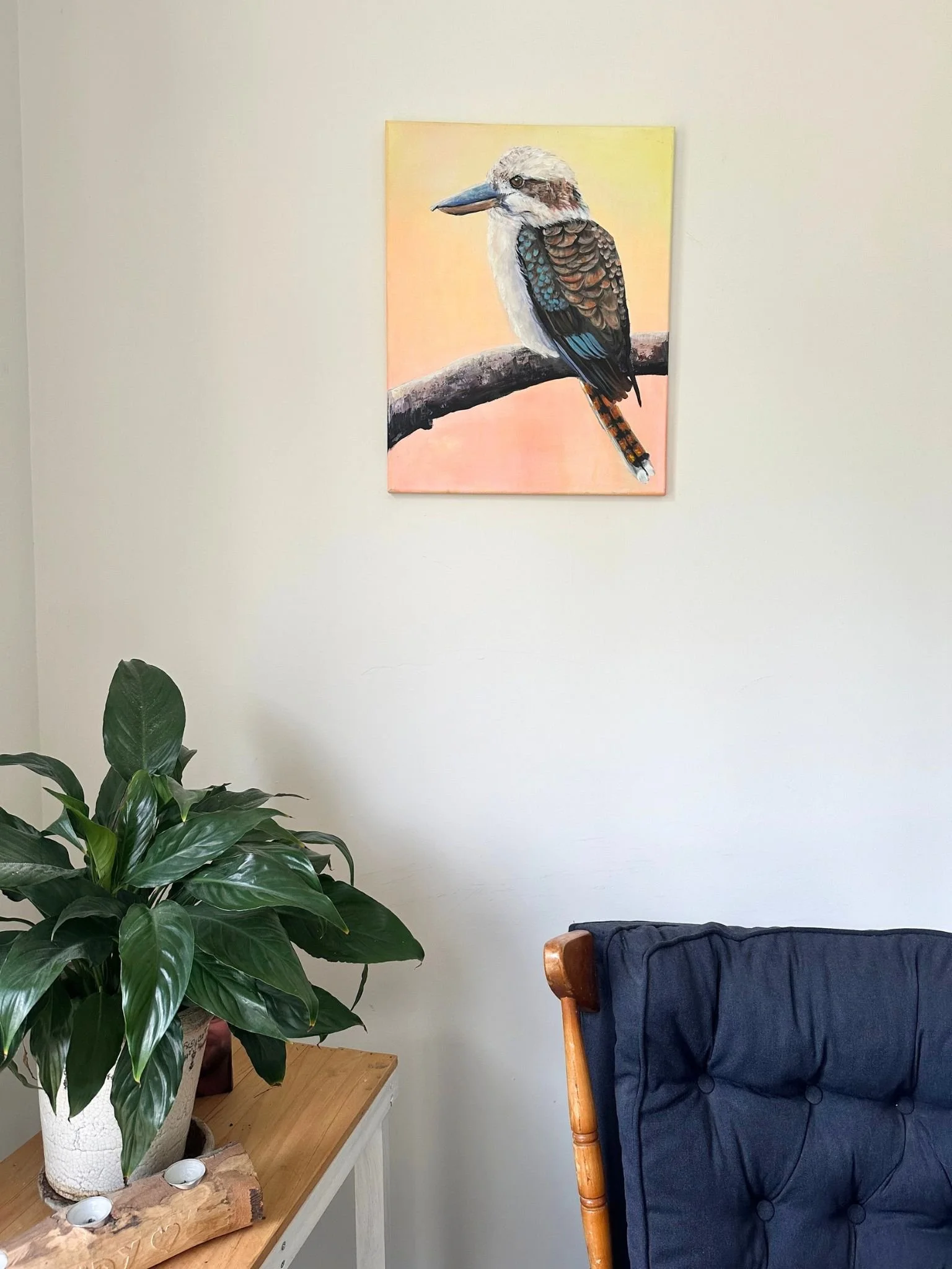 kookaburra 1.jpg