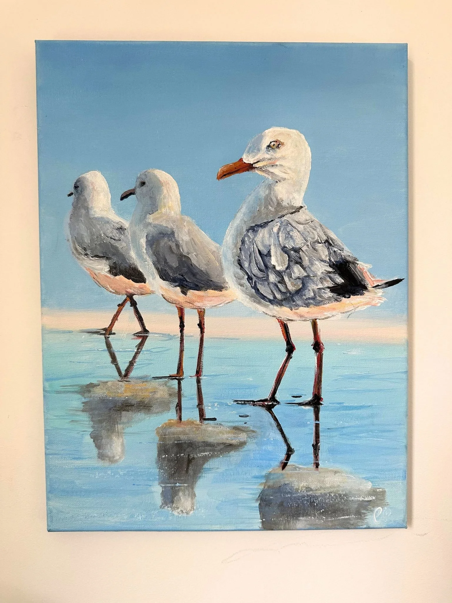 gull 3.jpg