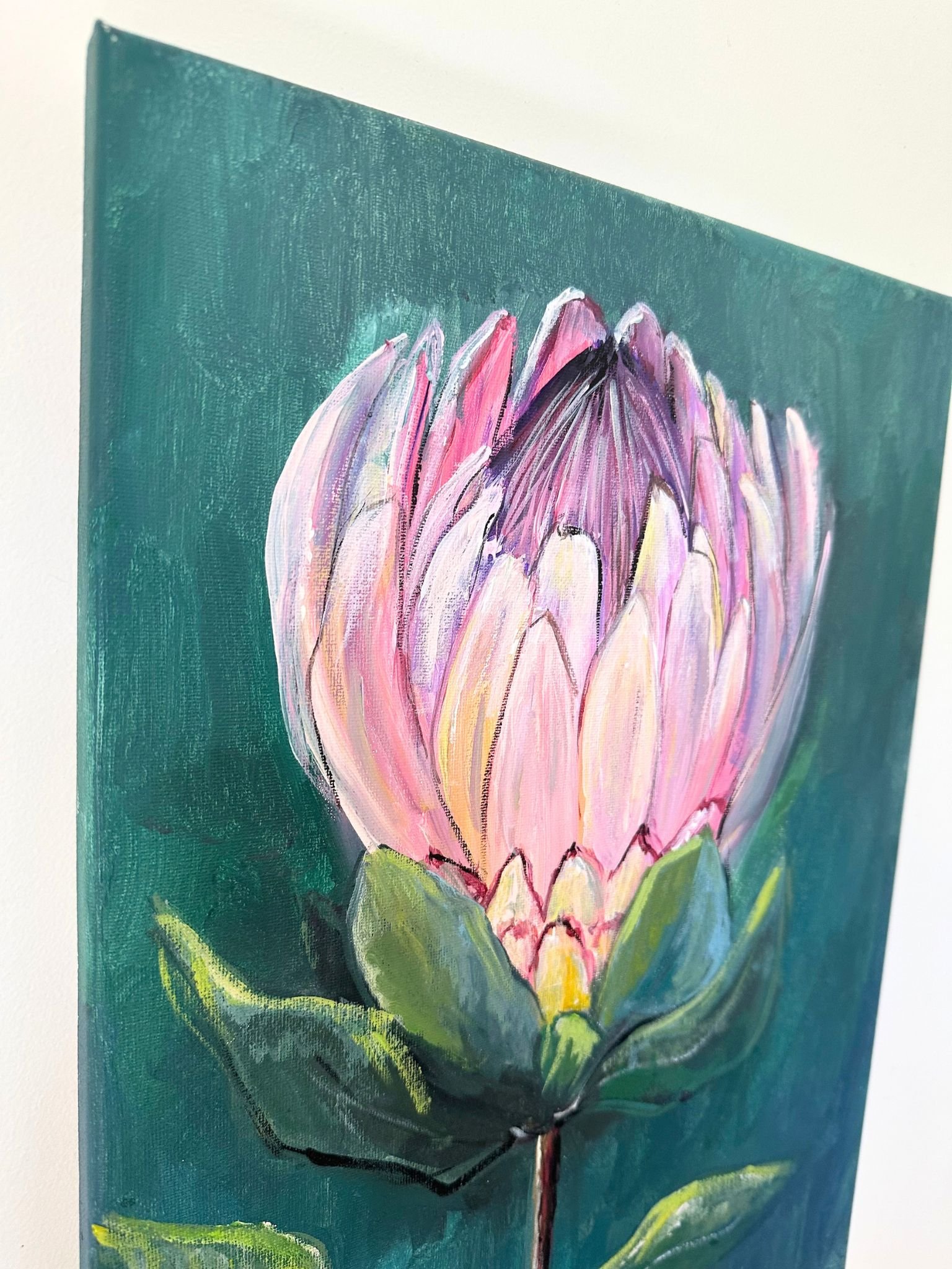 protea a 1.jpg