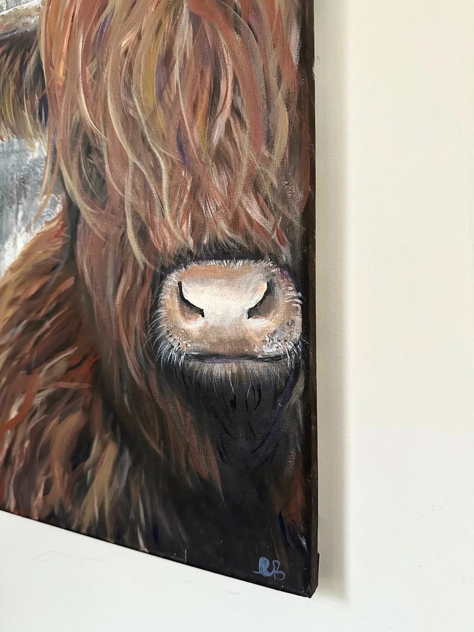 cow a 3.jpg