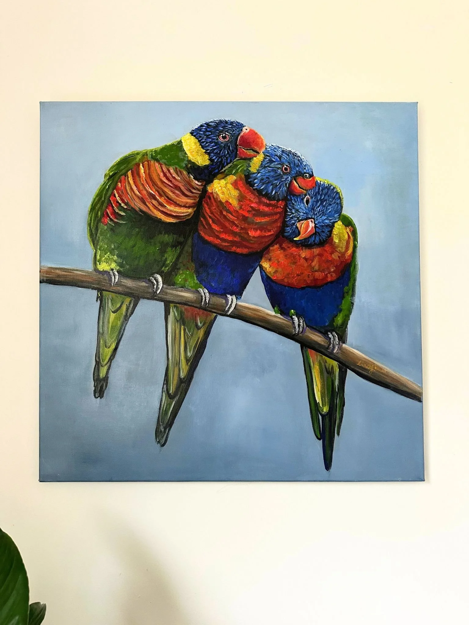 rainbow lorikeet 1.jpg