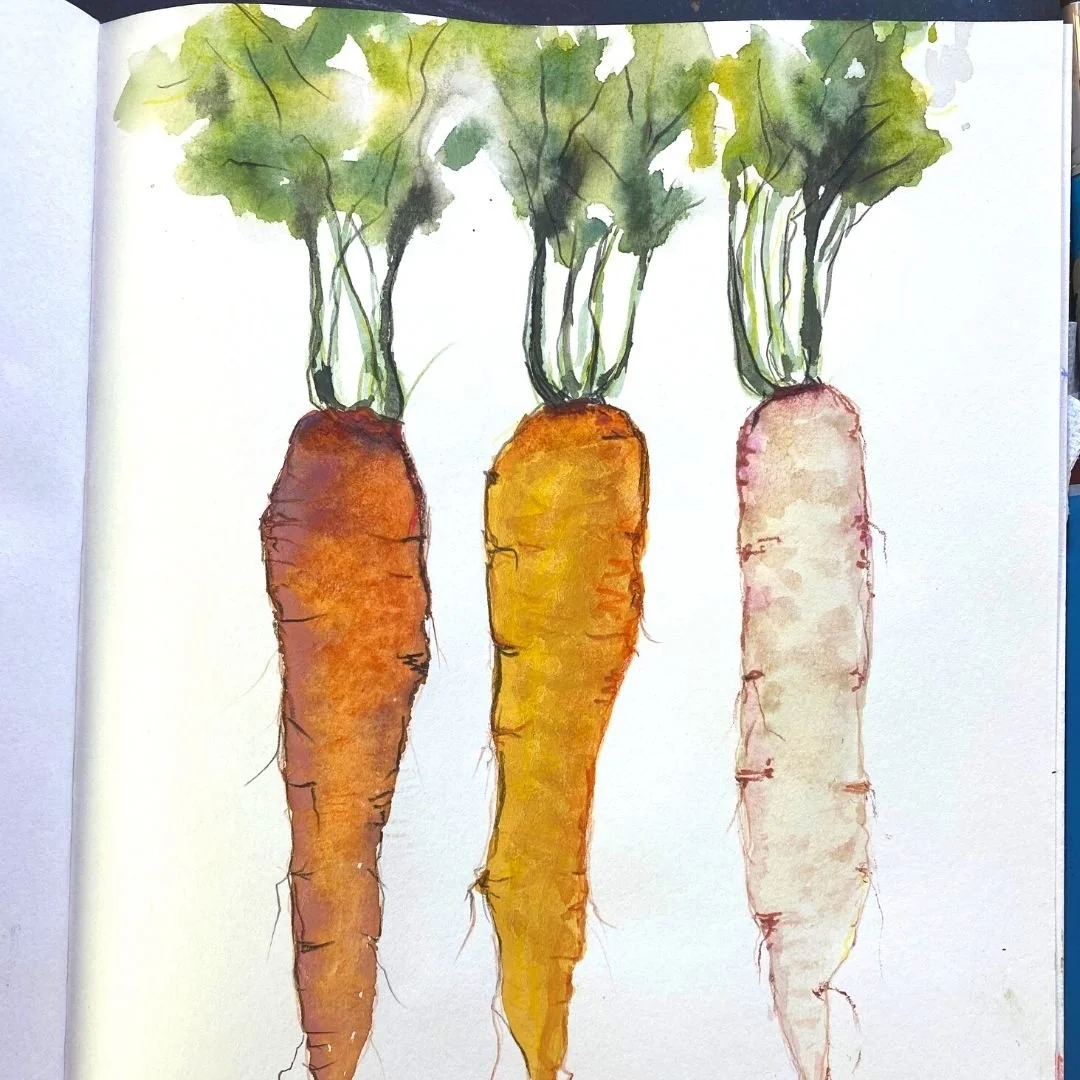 Watercolour carrot.jpg