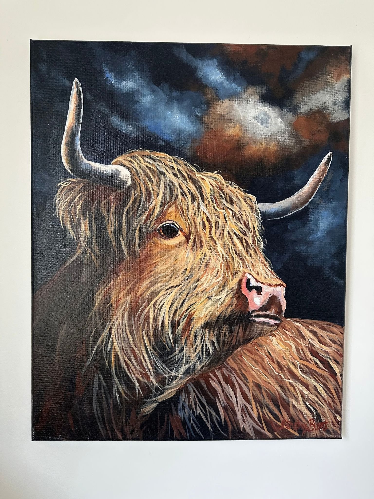 cow 3.jpg