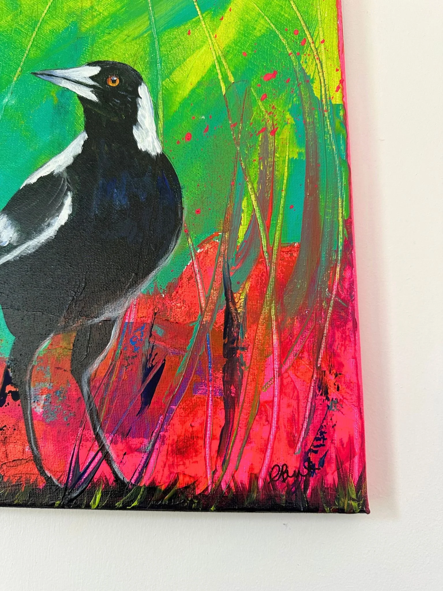 magpie a 4.jpg