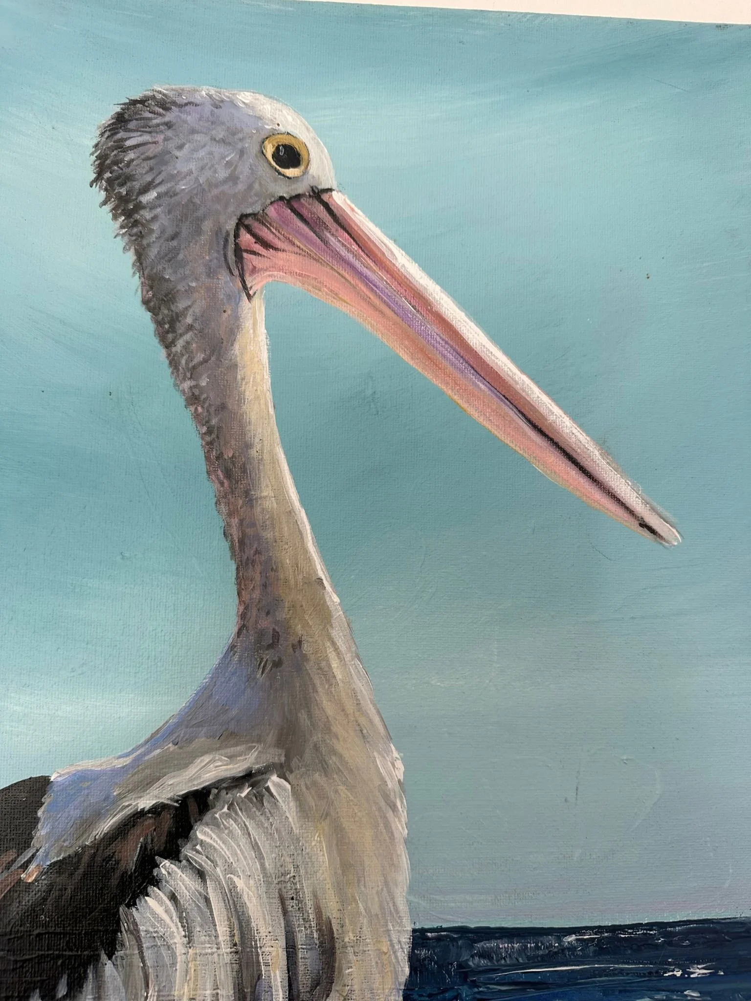 pelican 5.jpg
