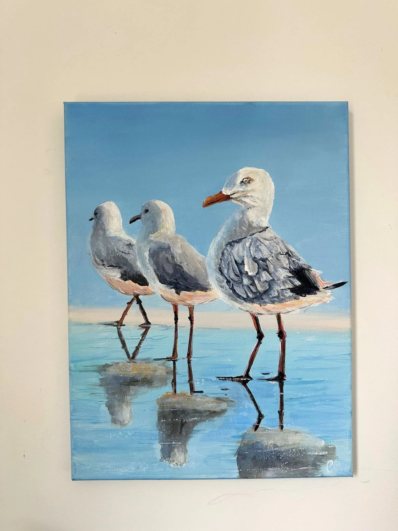 Seagull Reflections