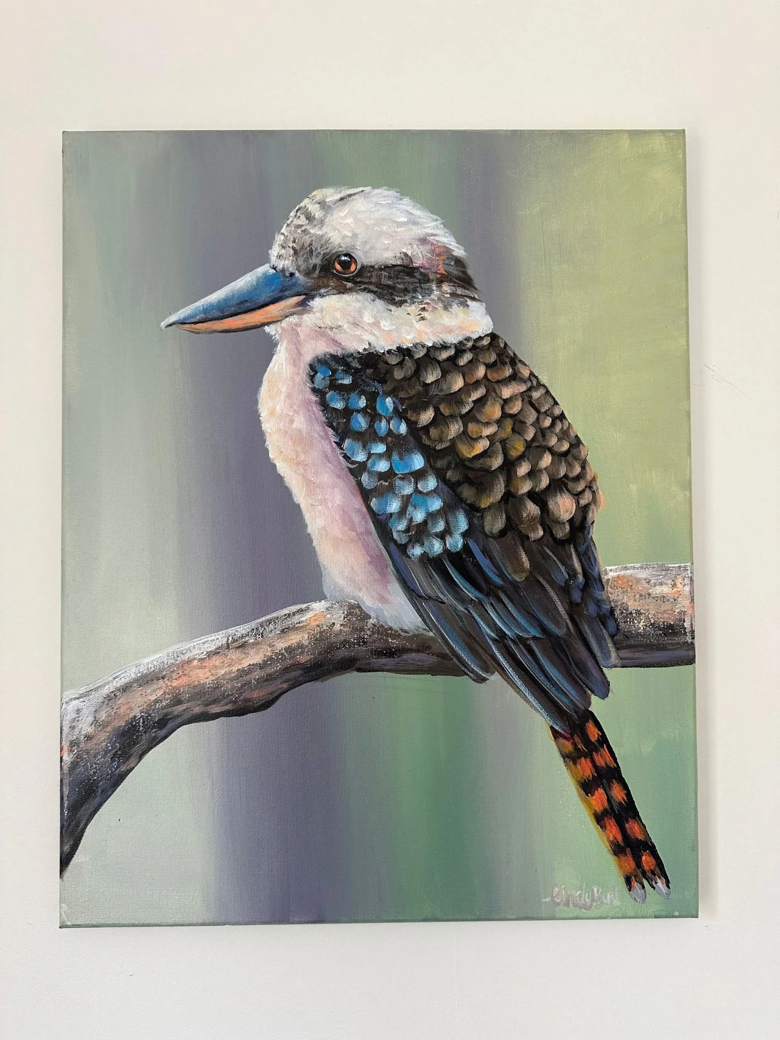 A Quiet Perch