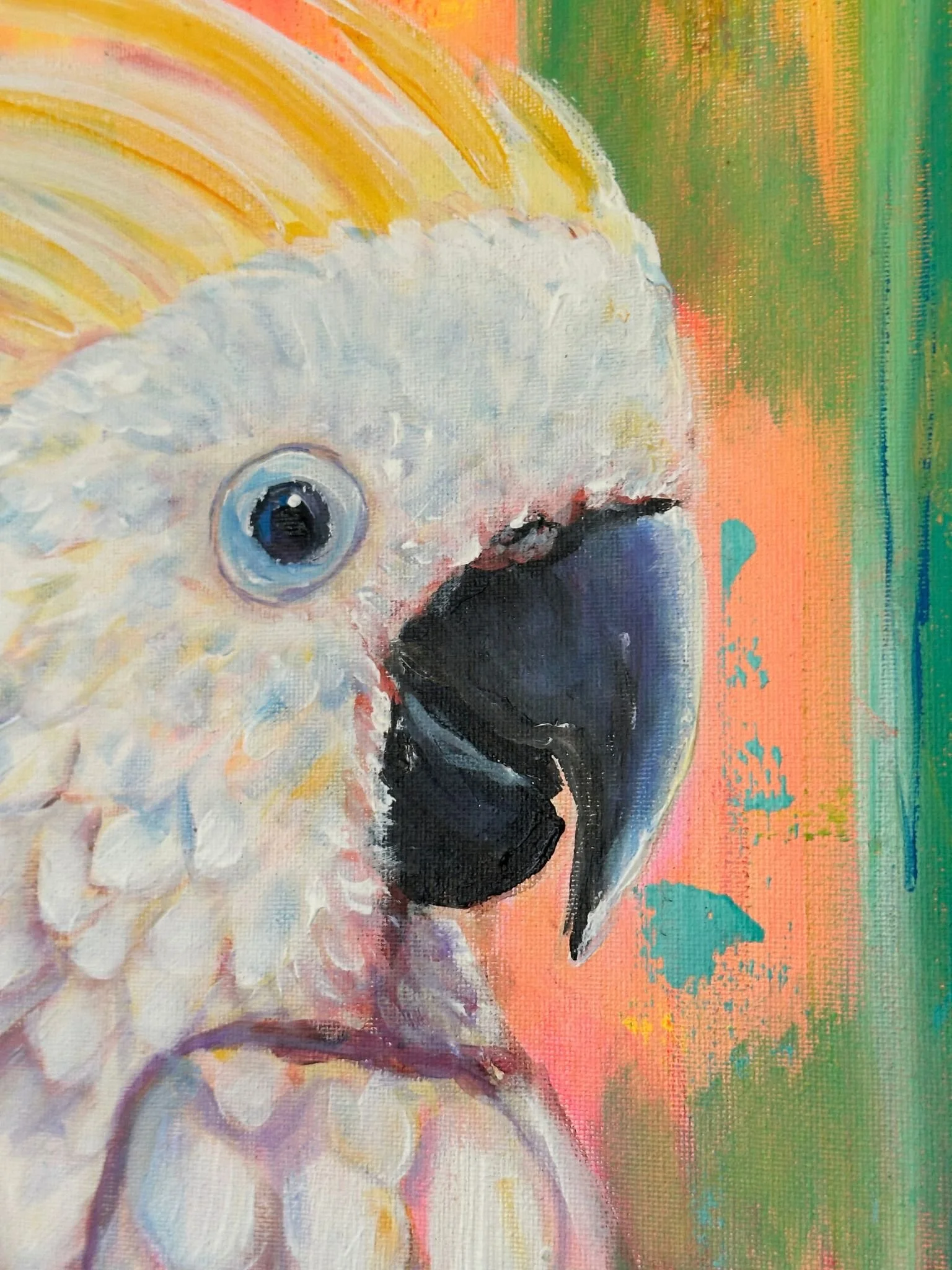 fluro cocky 4.jpg