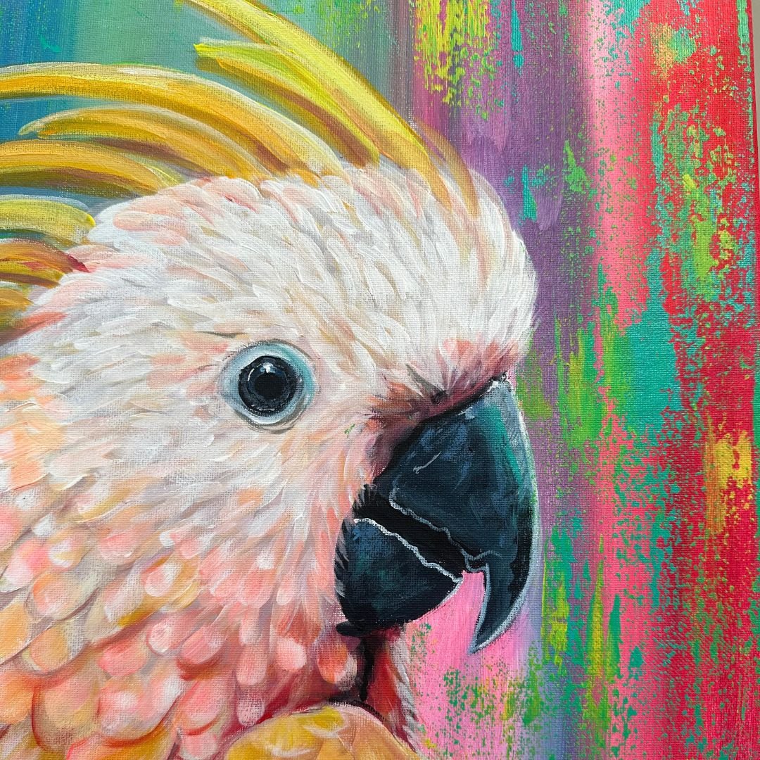 cocky colourful 2.jpg