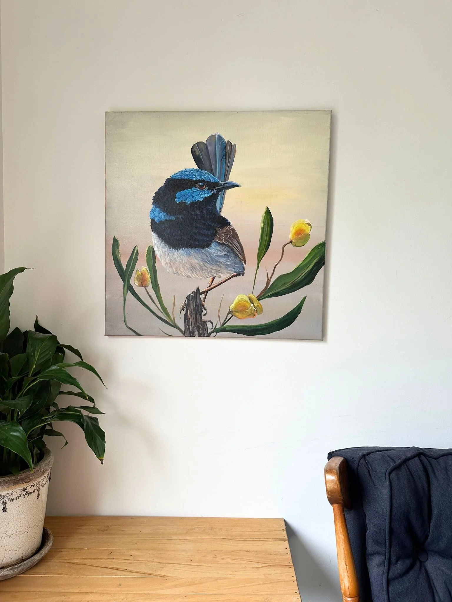 blue wren hop 3.jpg