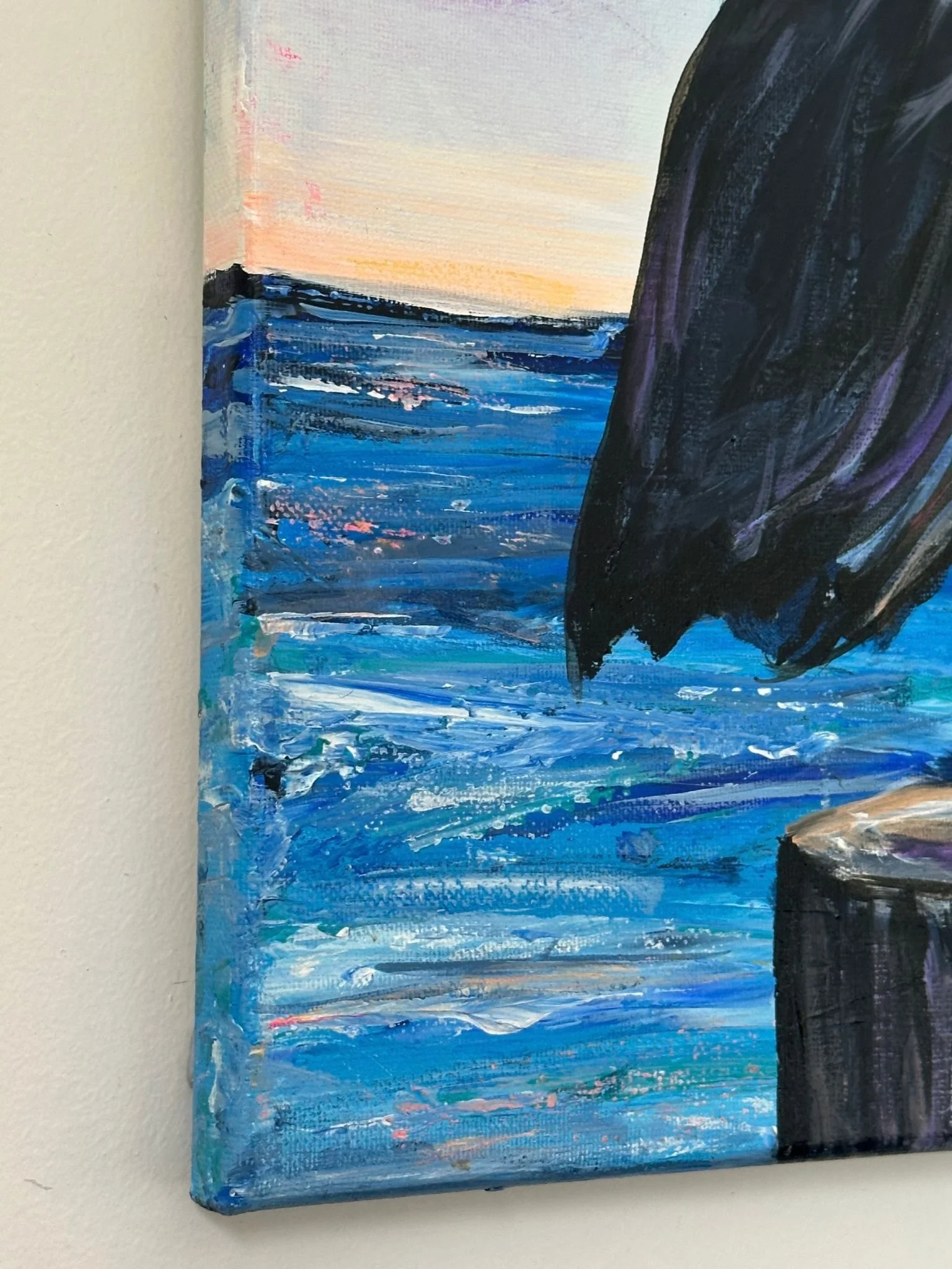 pelican a 6.jpg