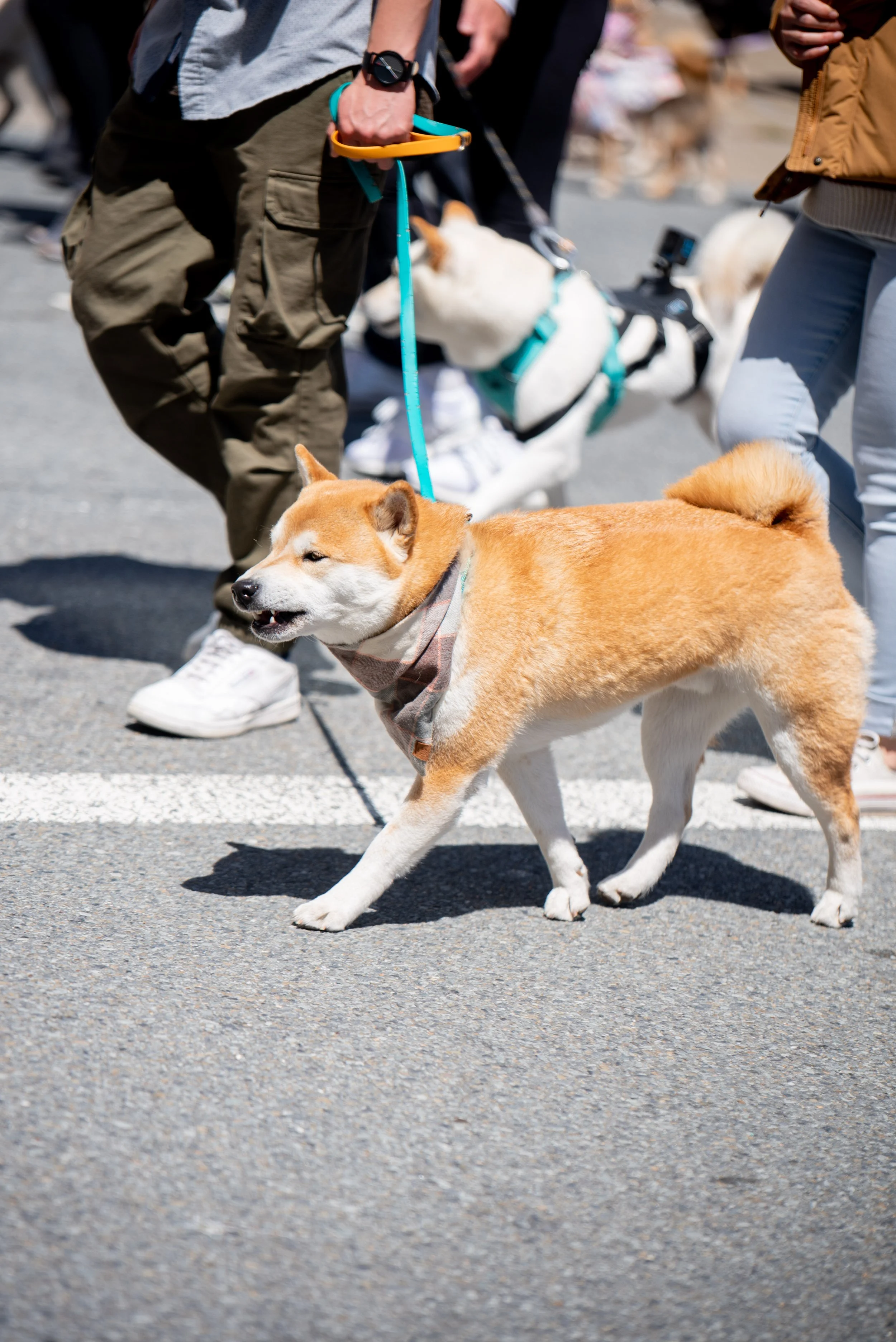 DSC_5394.jpg