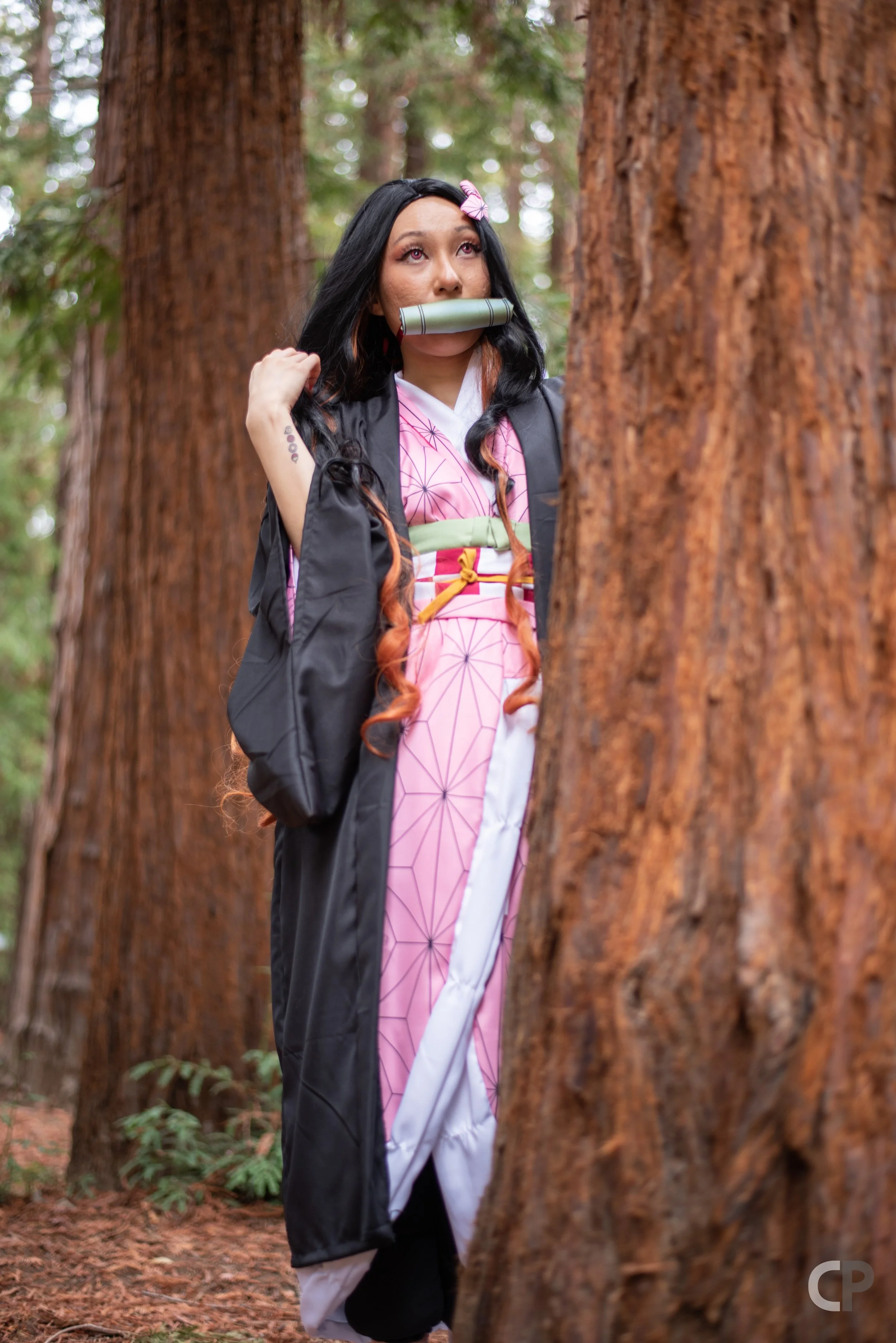 DSC_7446.jpg