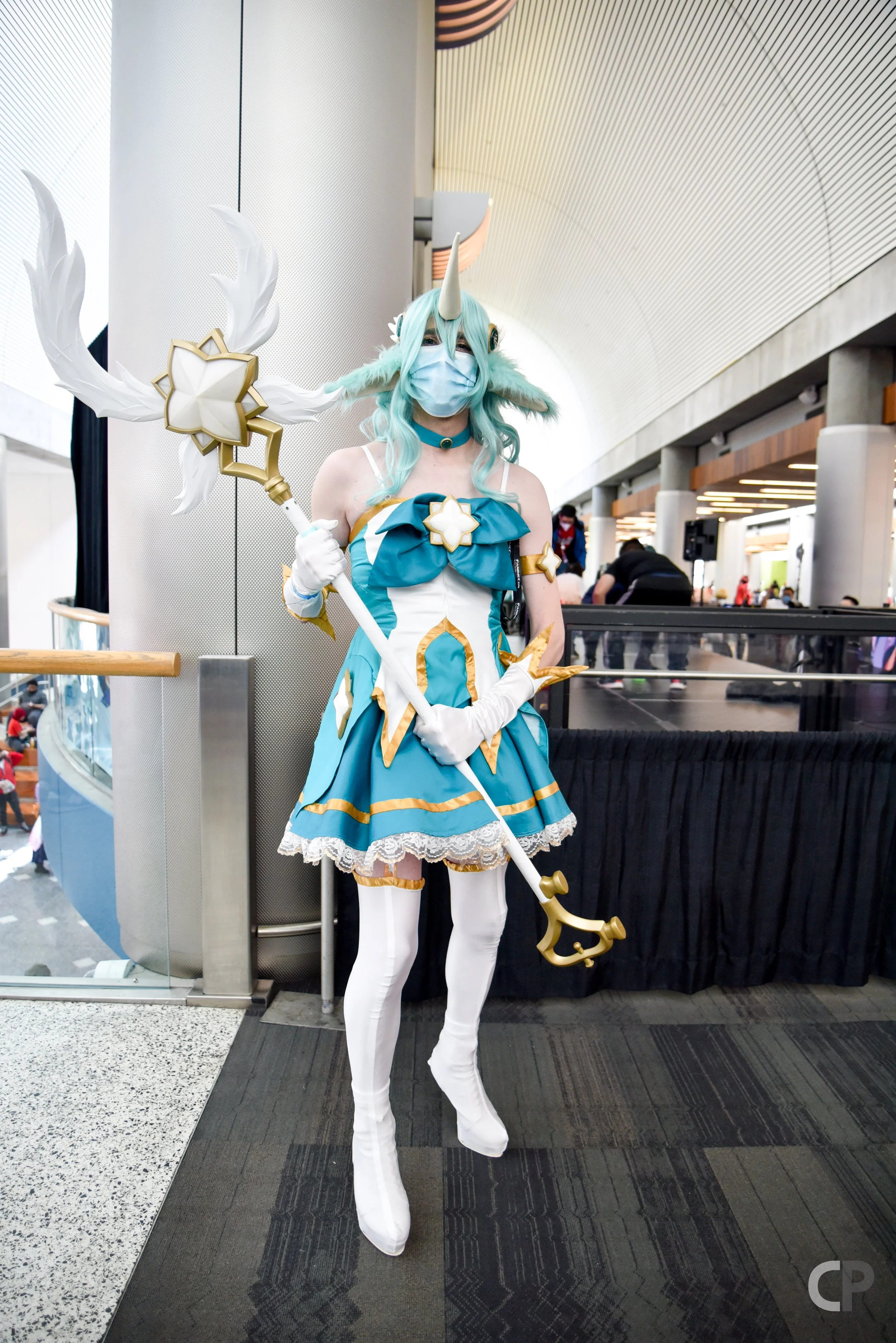 DSC_7822.jpg