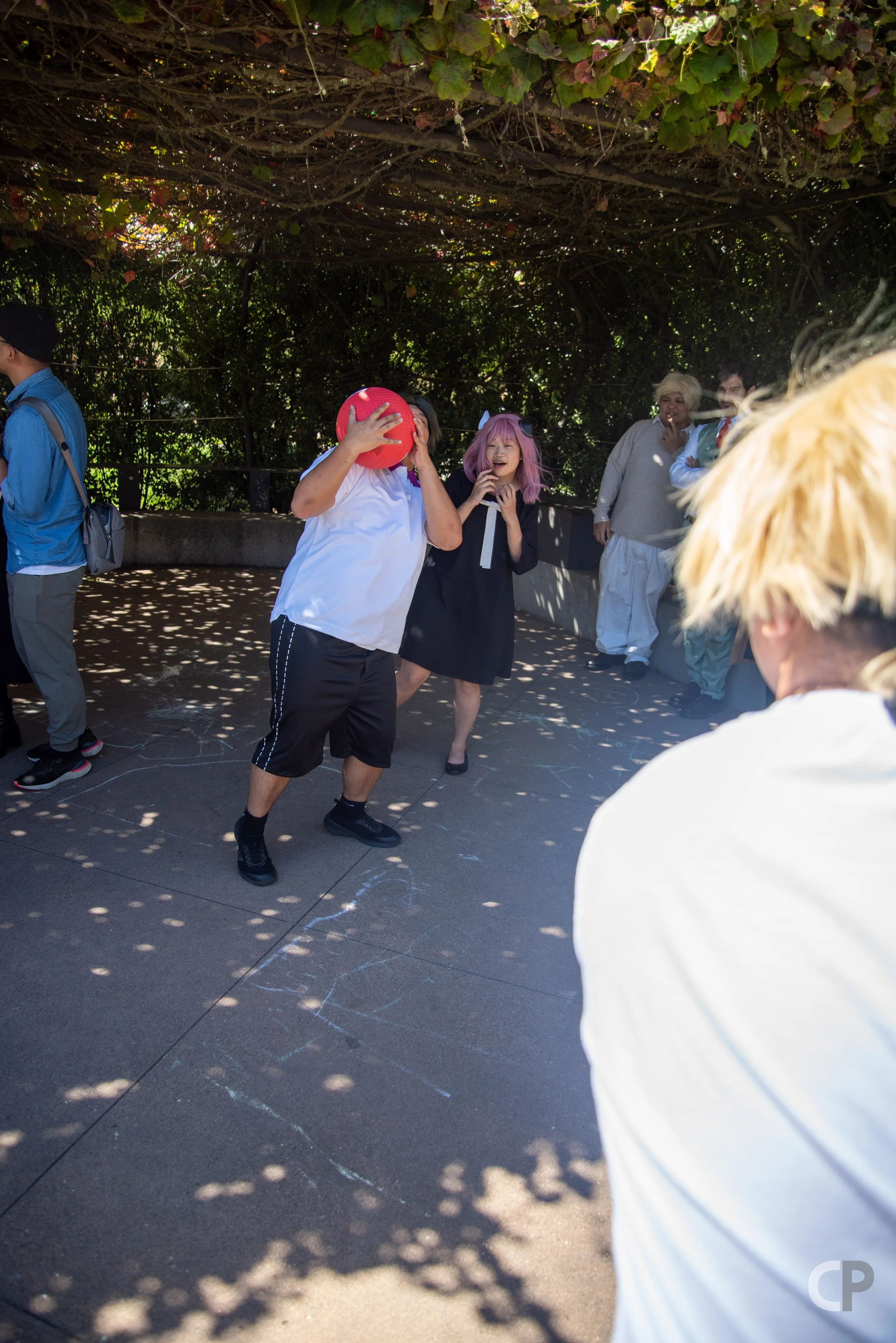DSC_6822.jpg