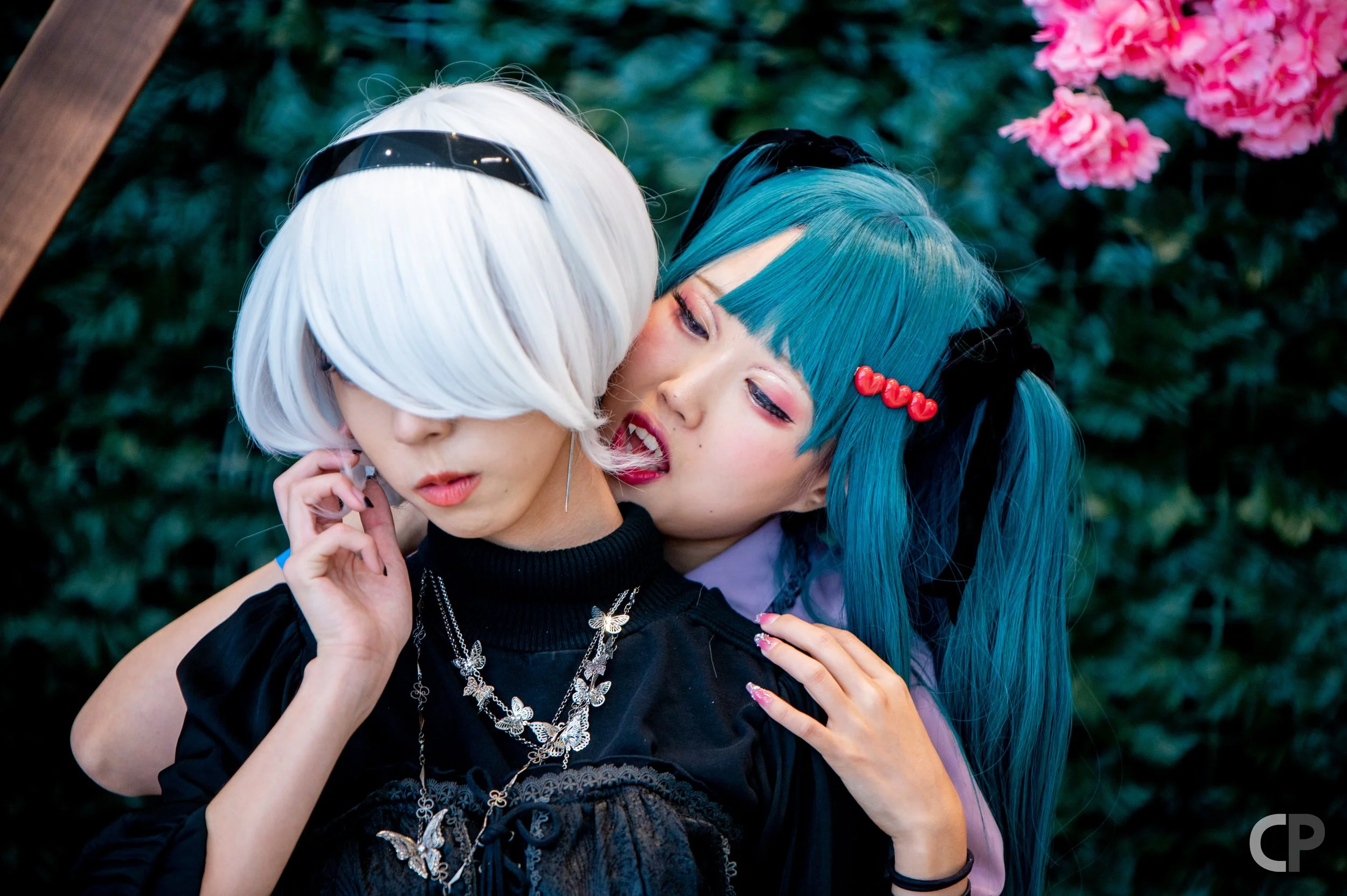 Z62_4155-Edit.jpg