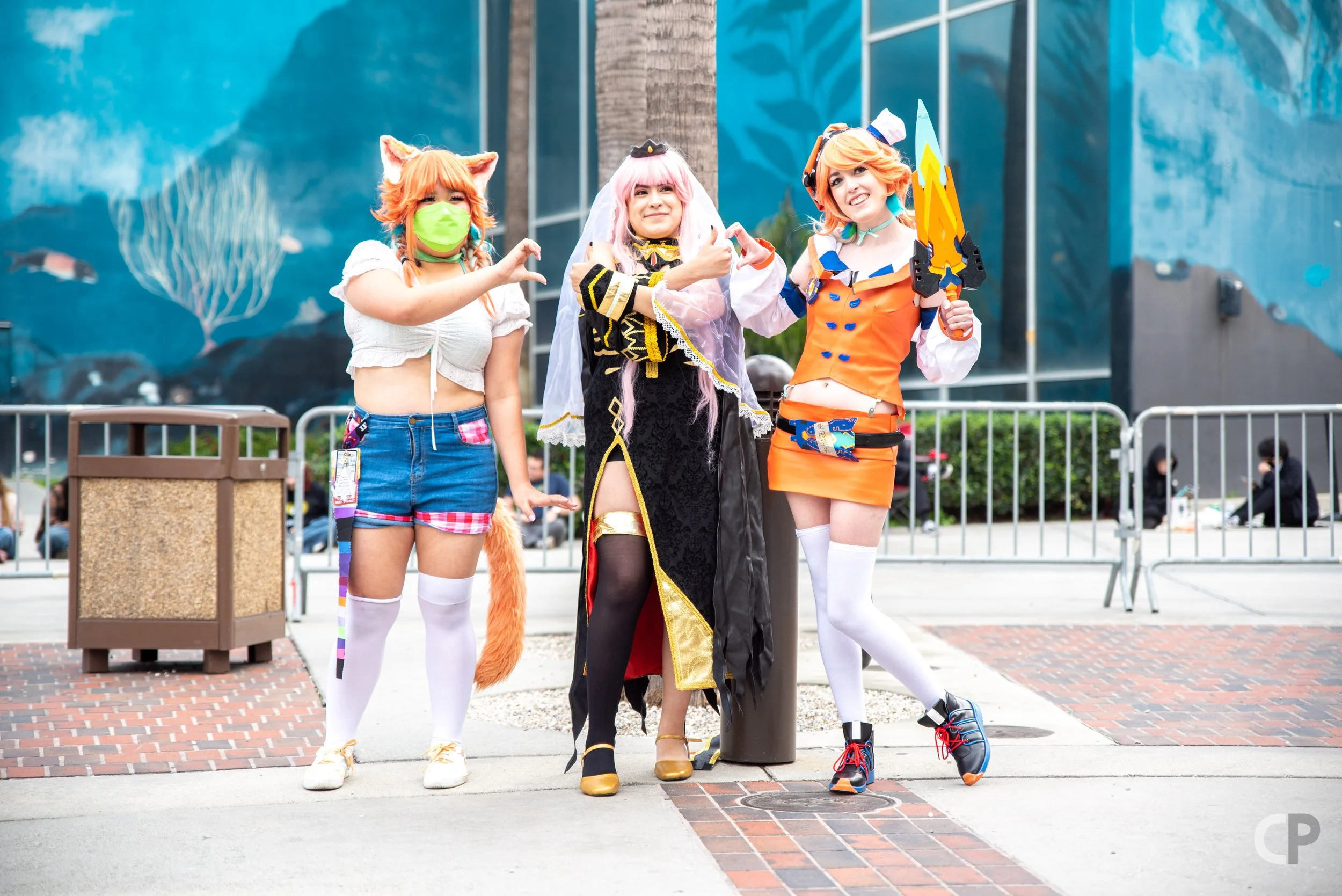 DSC_6546.jpg