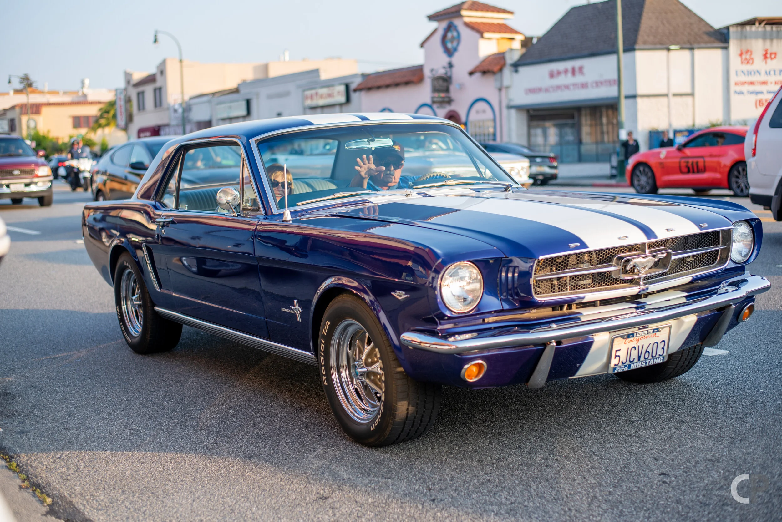 DSC_4995.jpg