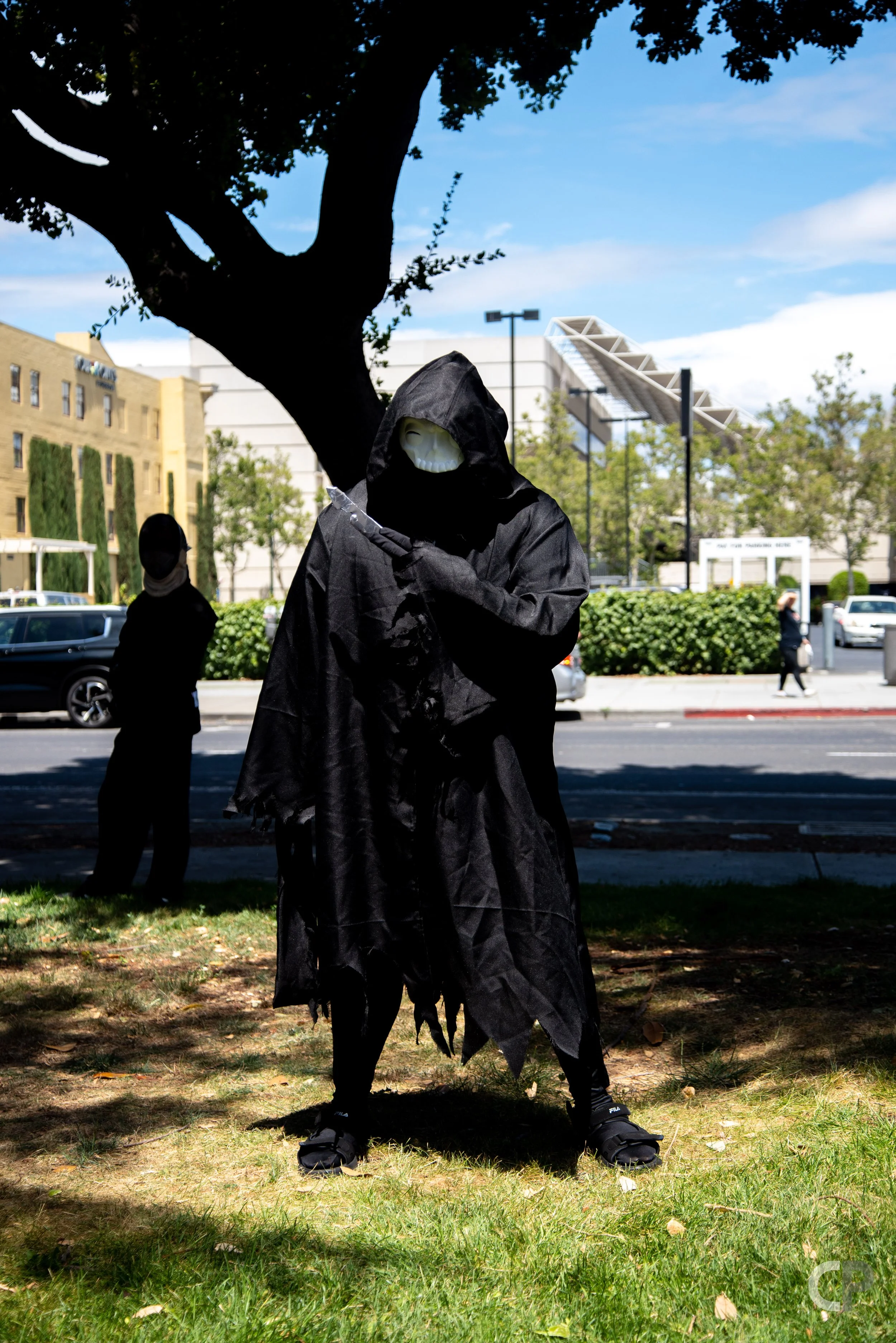 DSC_8470.jpg