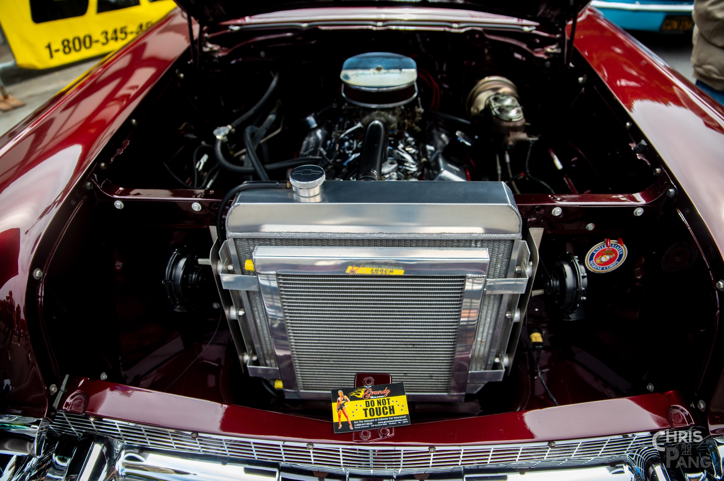 Z62_6557.jpg