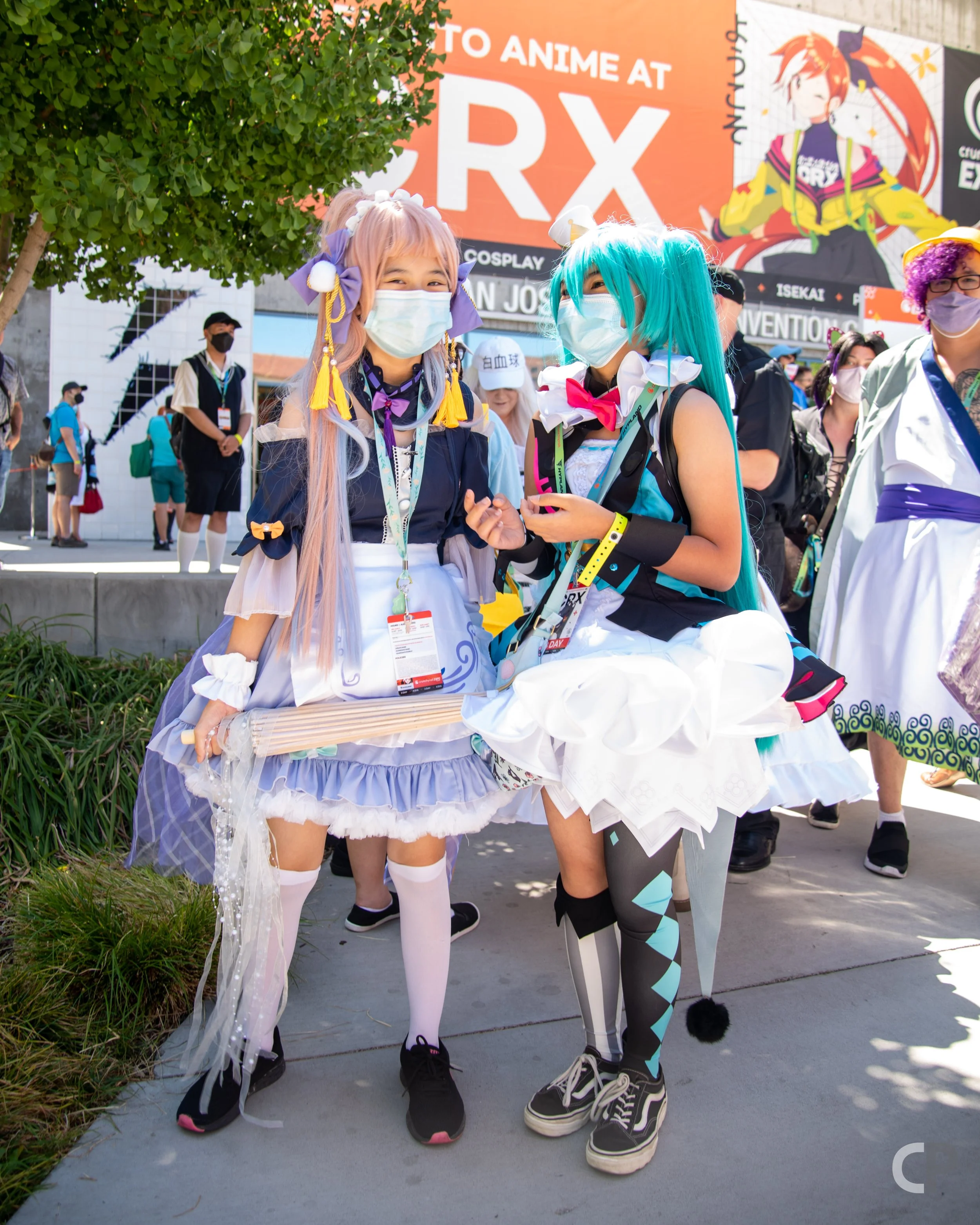 DSC_3553.jpg