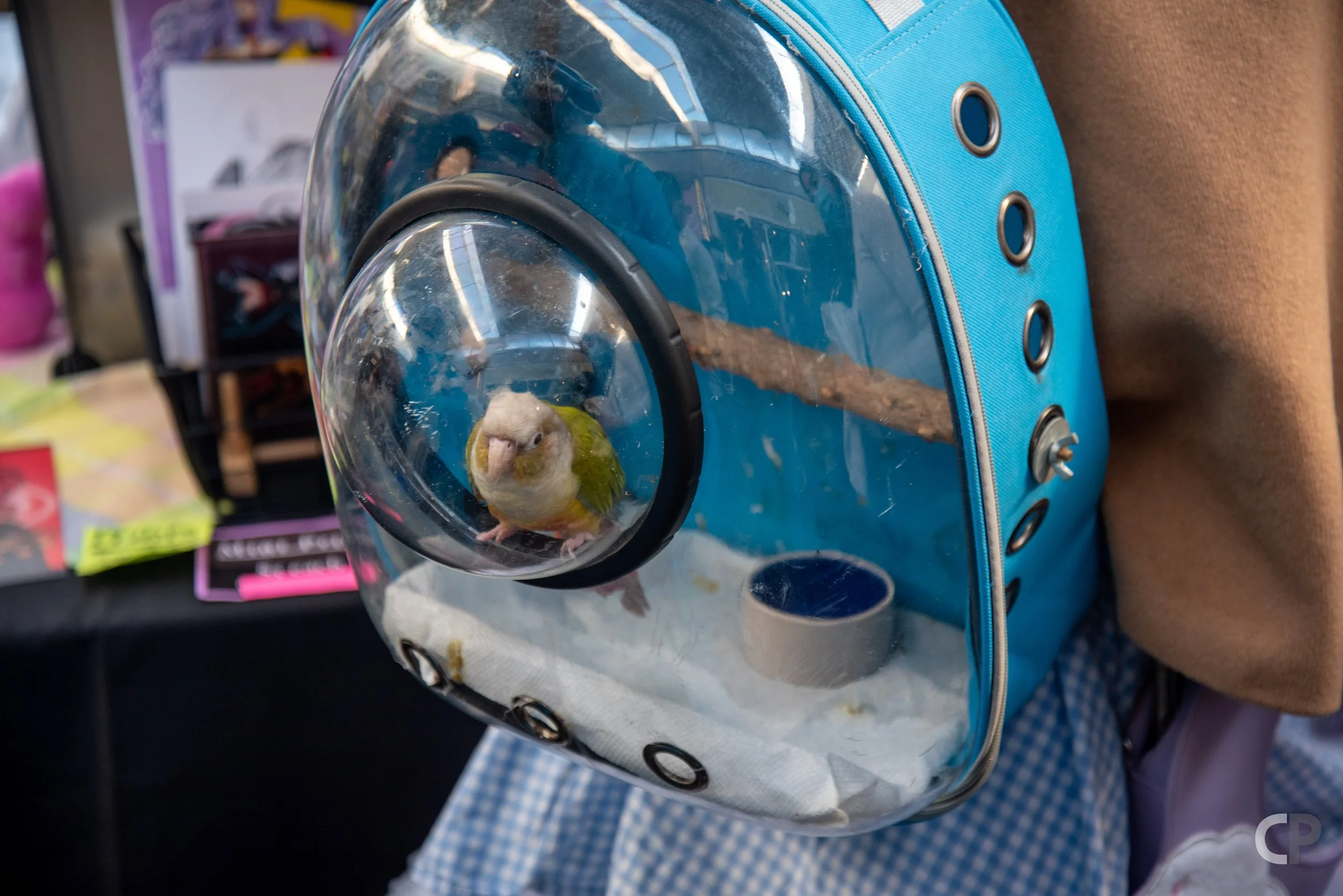 DSC_5427.jpg
