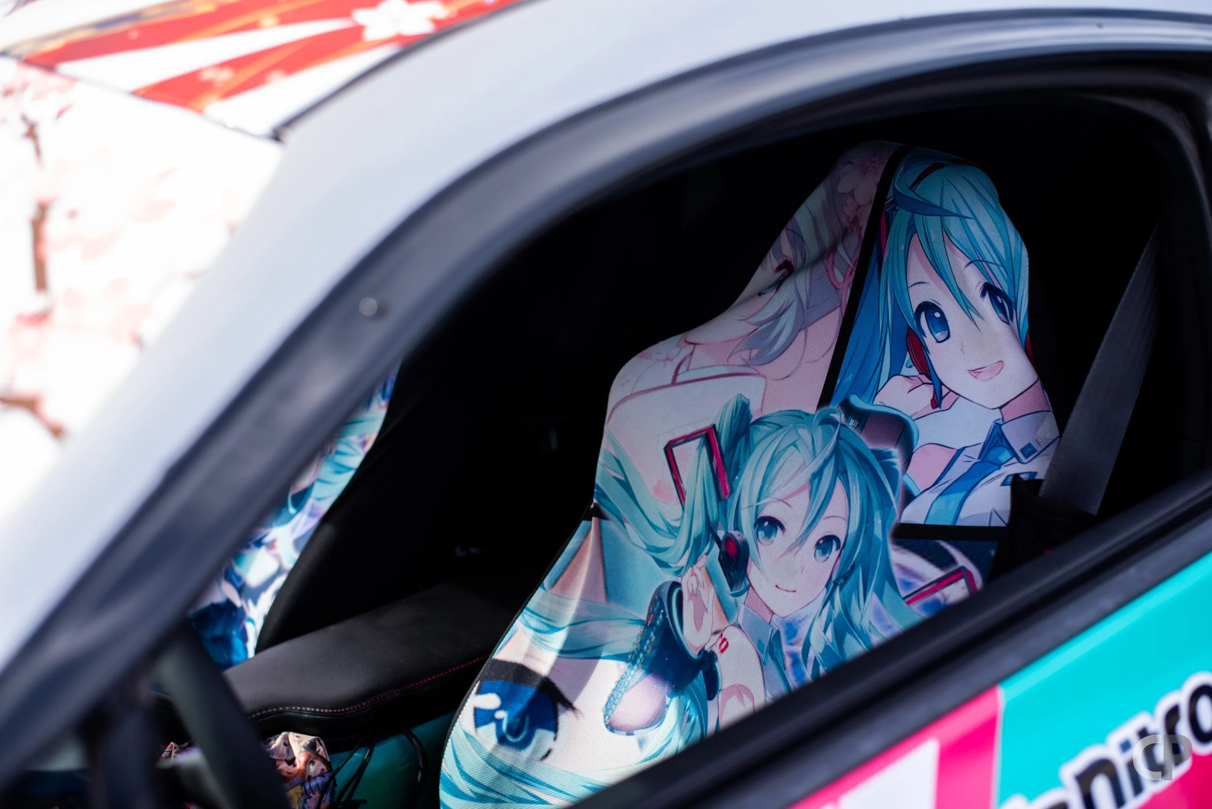 DSC_8296.jpg