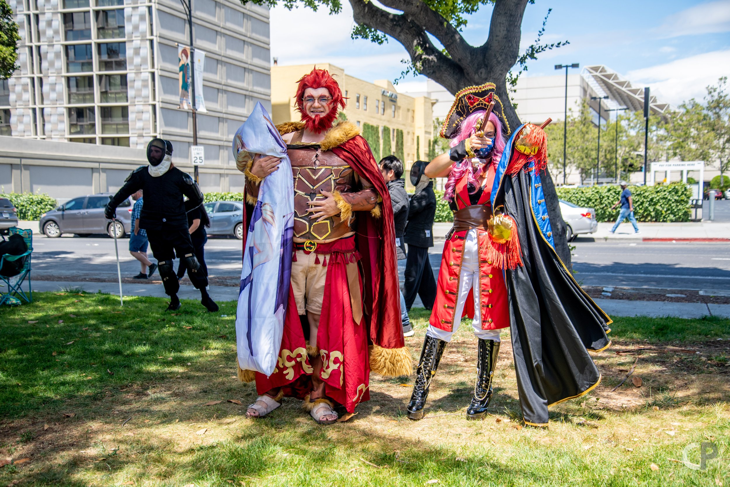 DSC_8457.jpg