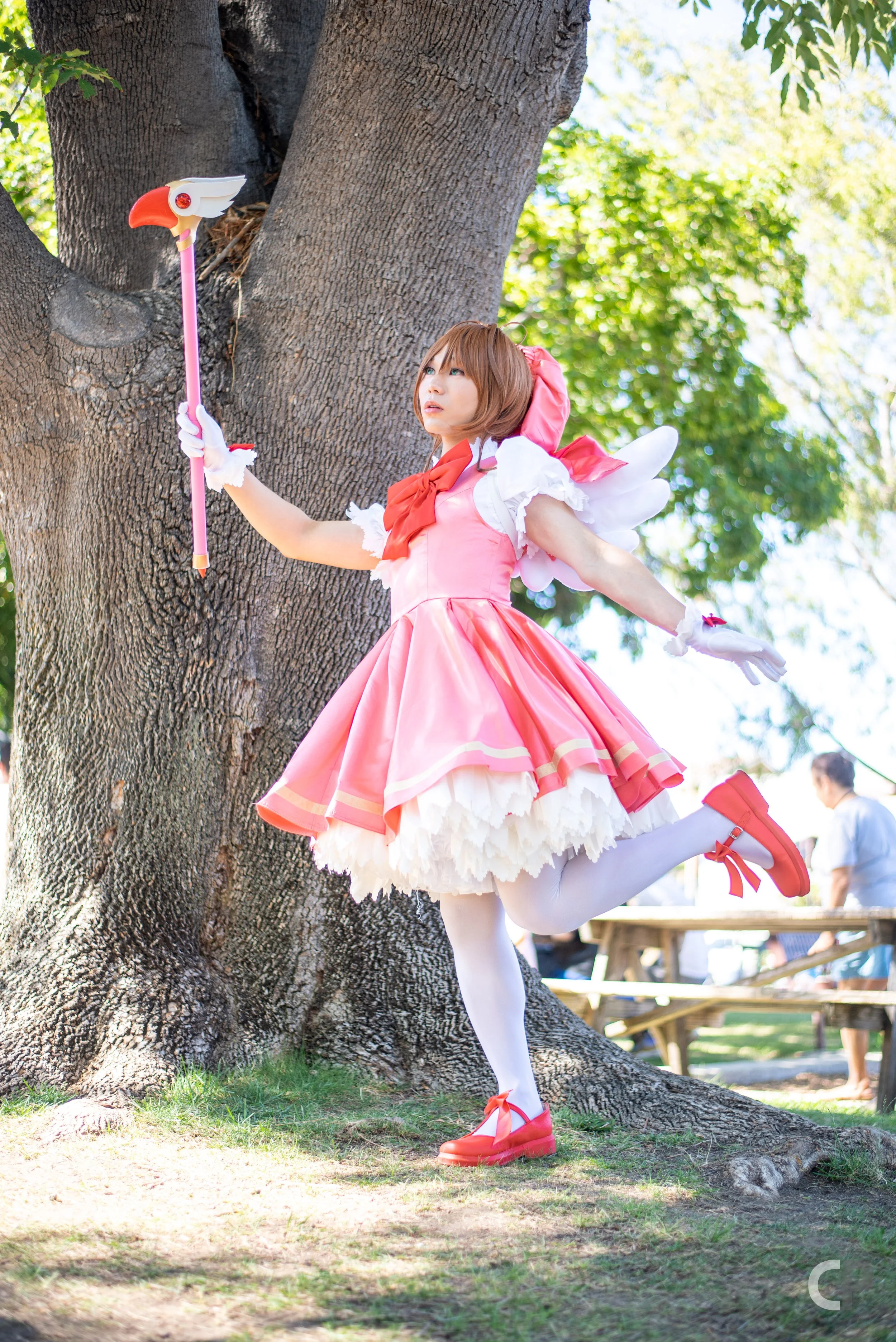 DSC_3122 - Copy.jpg