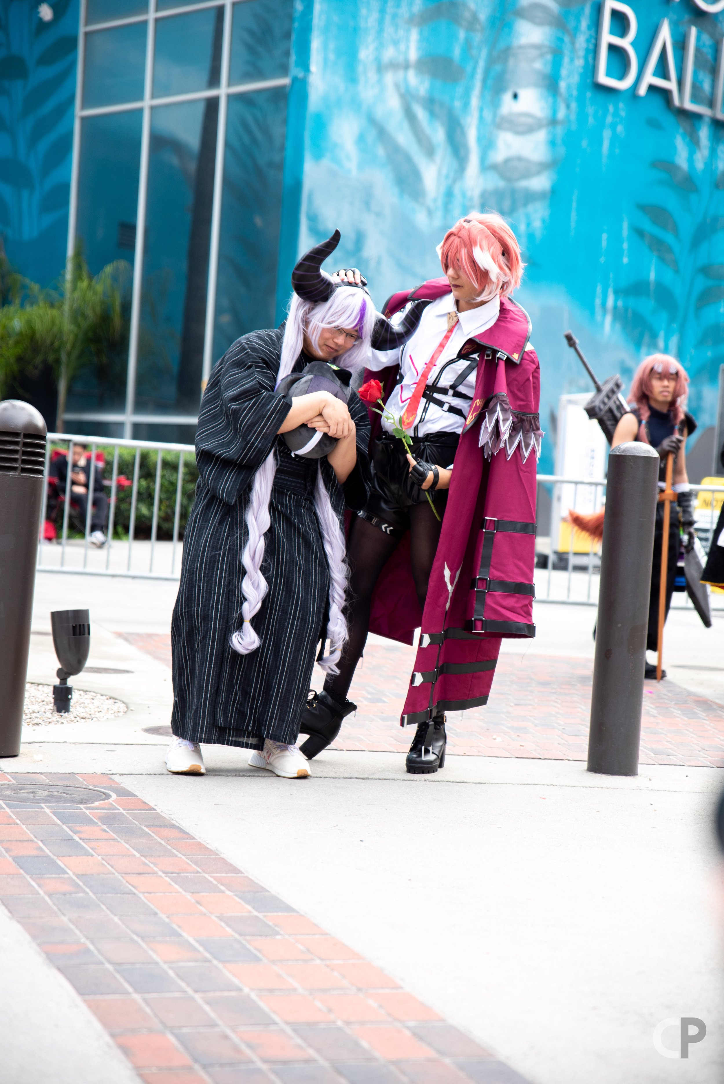 DSC_6346.jpg