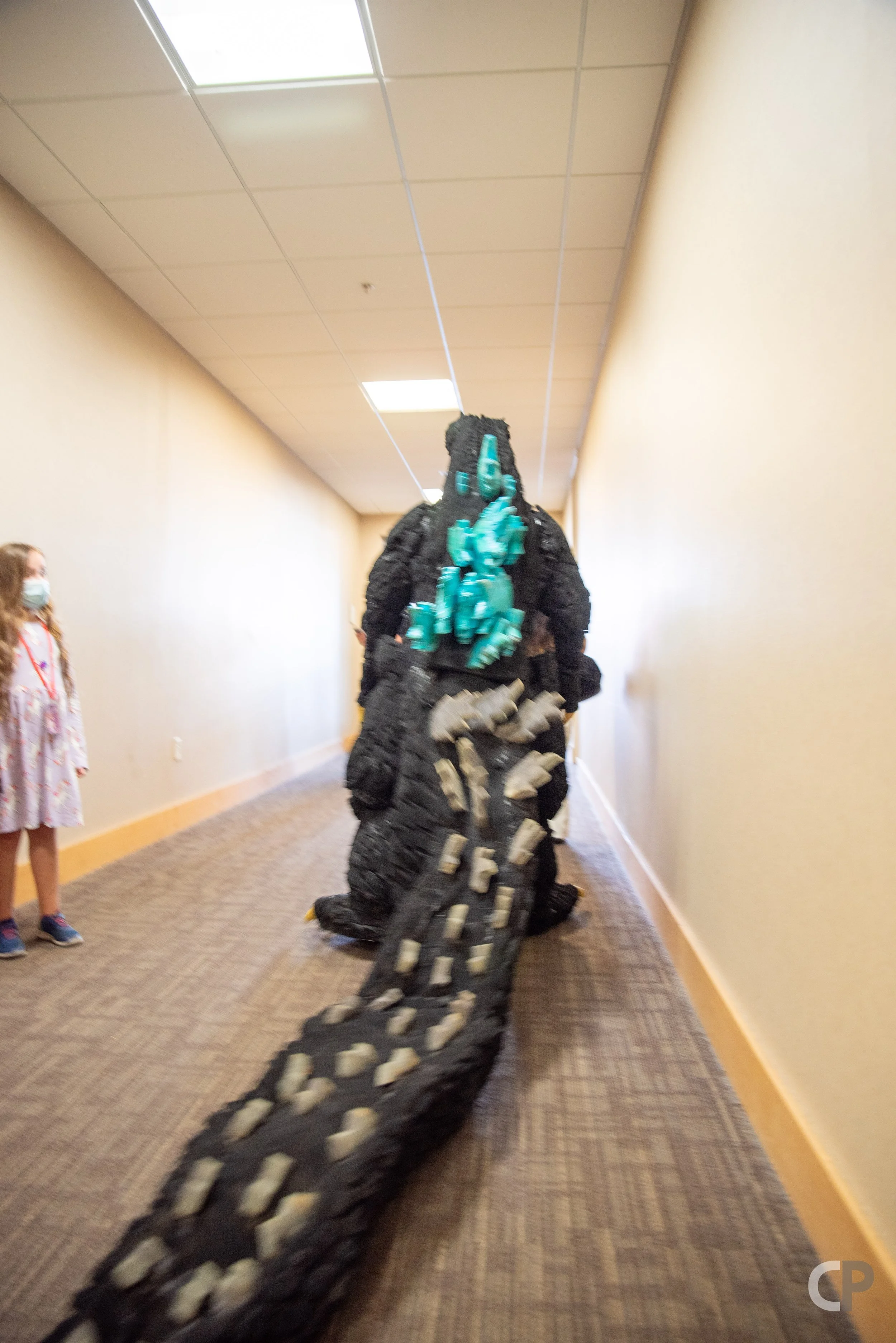 DSC_2898.jpg