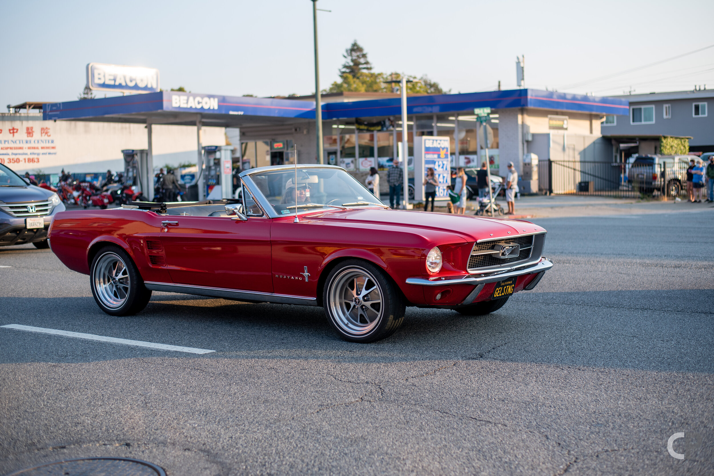 DSC_4938.jpg