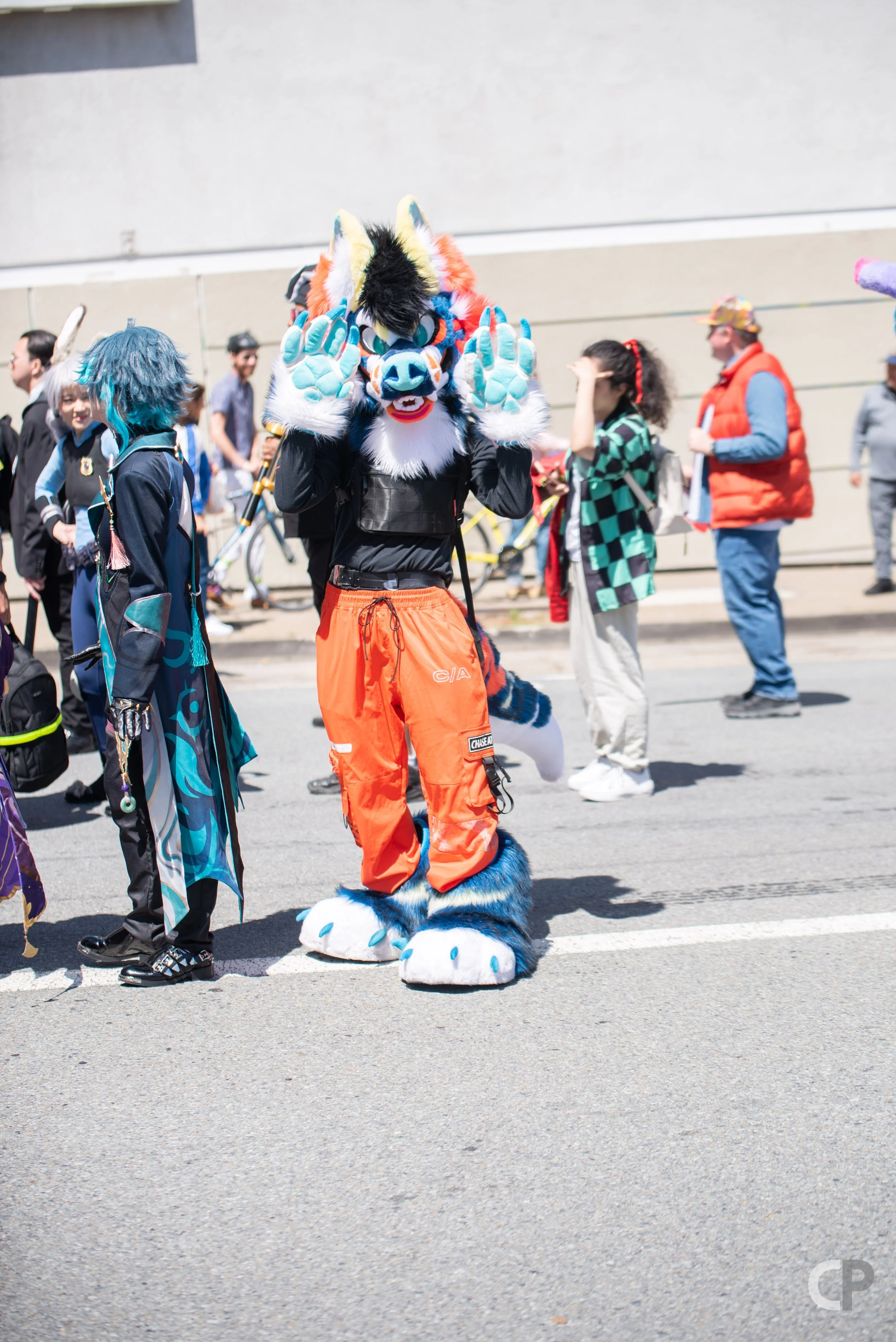 DSC_5744.jpg