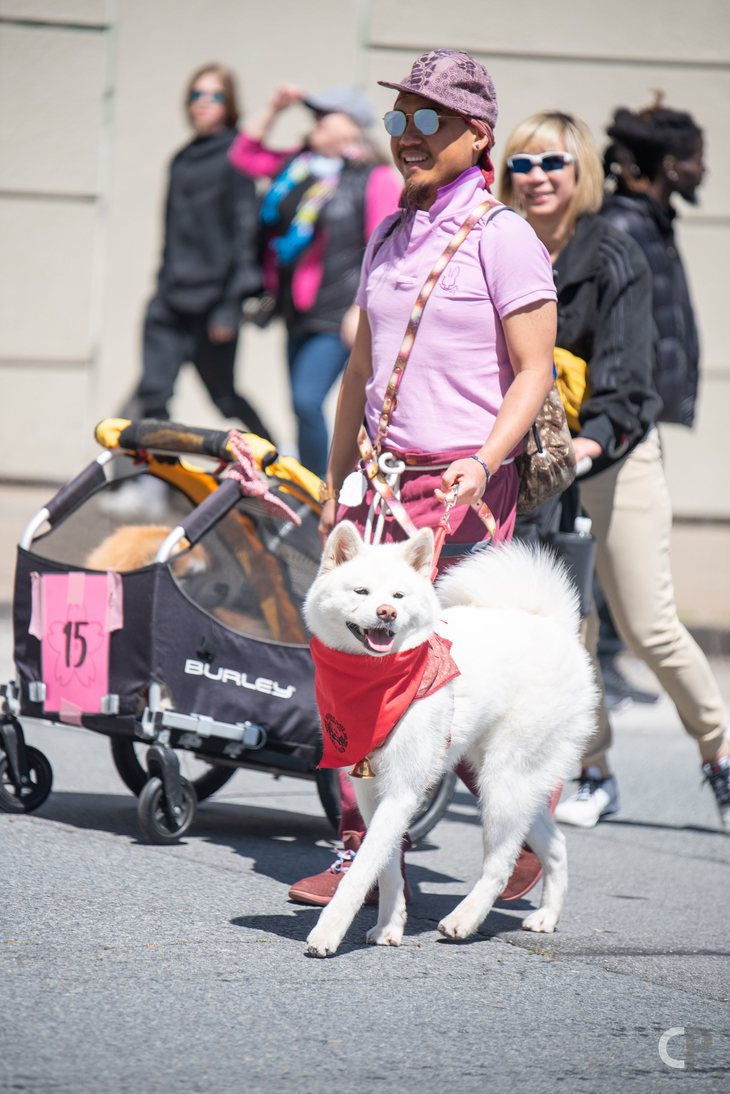 DSC_5494.jpg