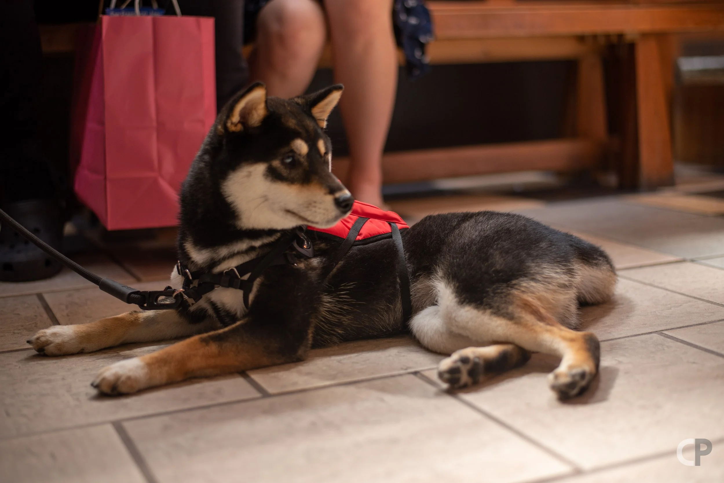 DSC_3246.jpg