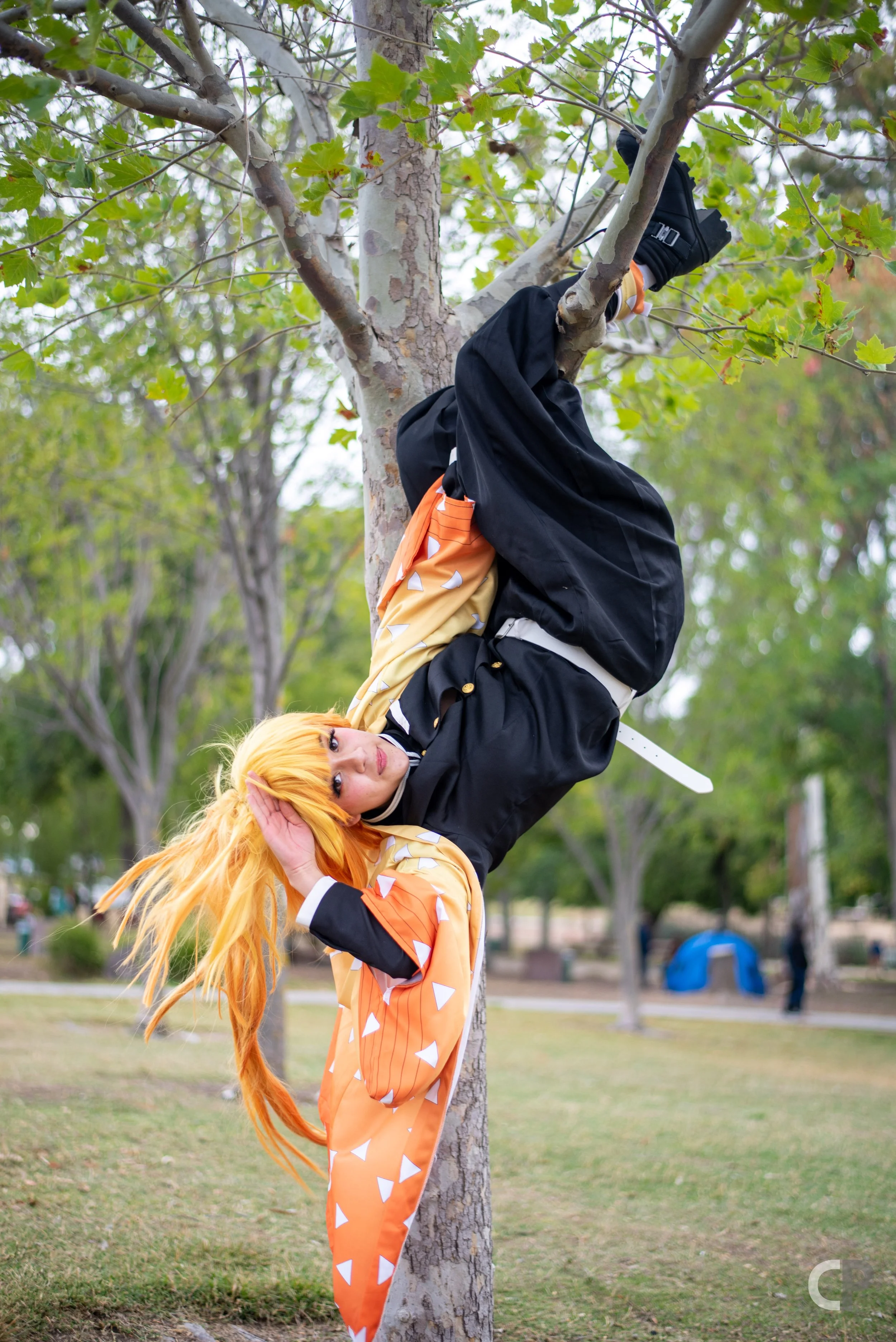 DSC_0896.jpg