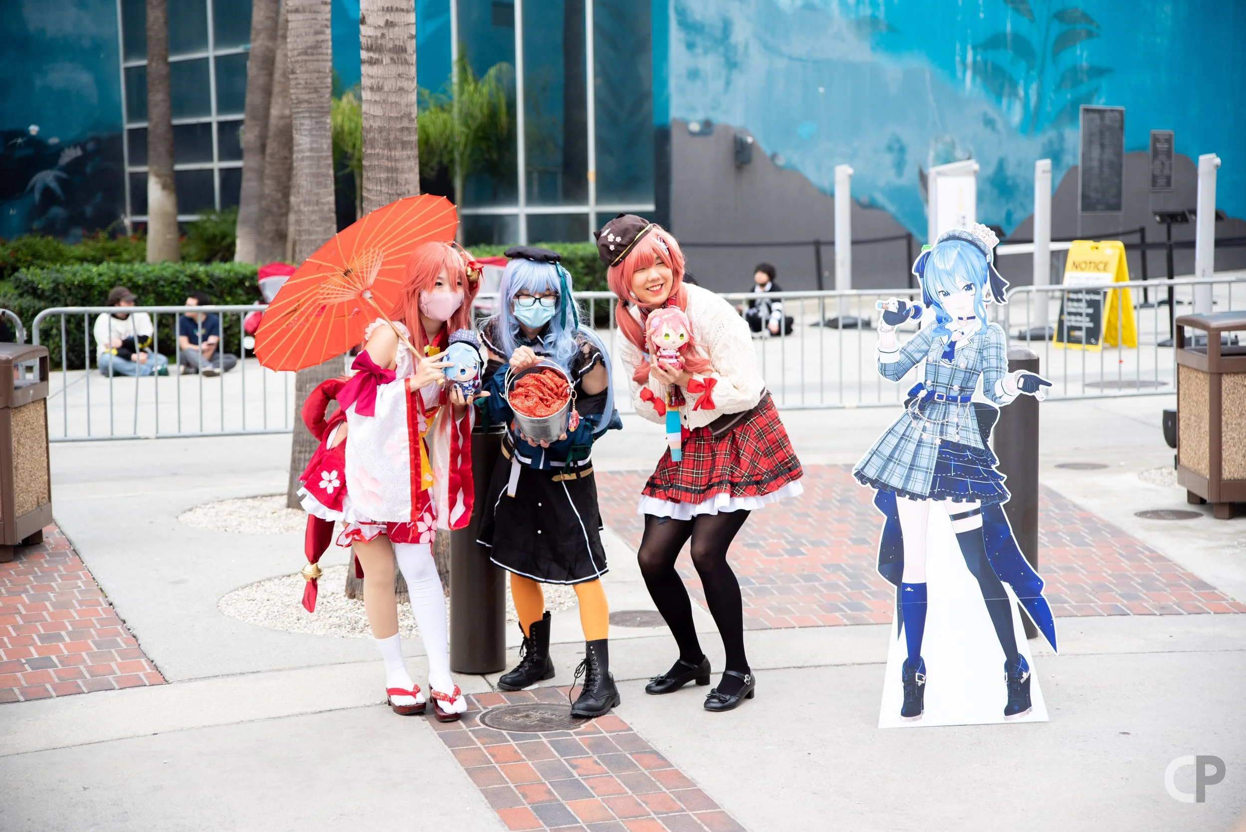 DSC_6257.jpg